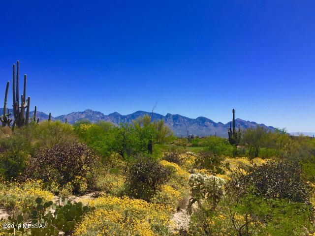Stone Canyon II - Land