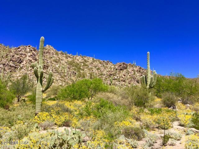 Stone Canyon II - Land