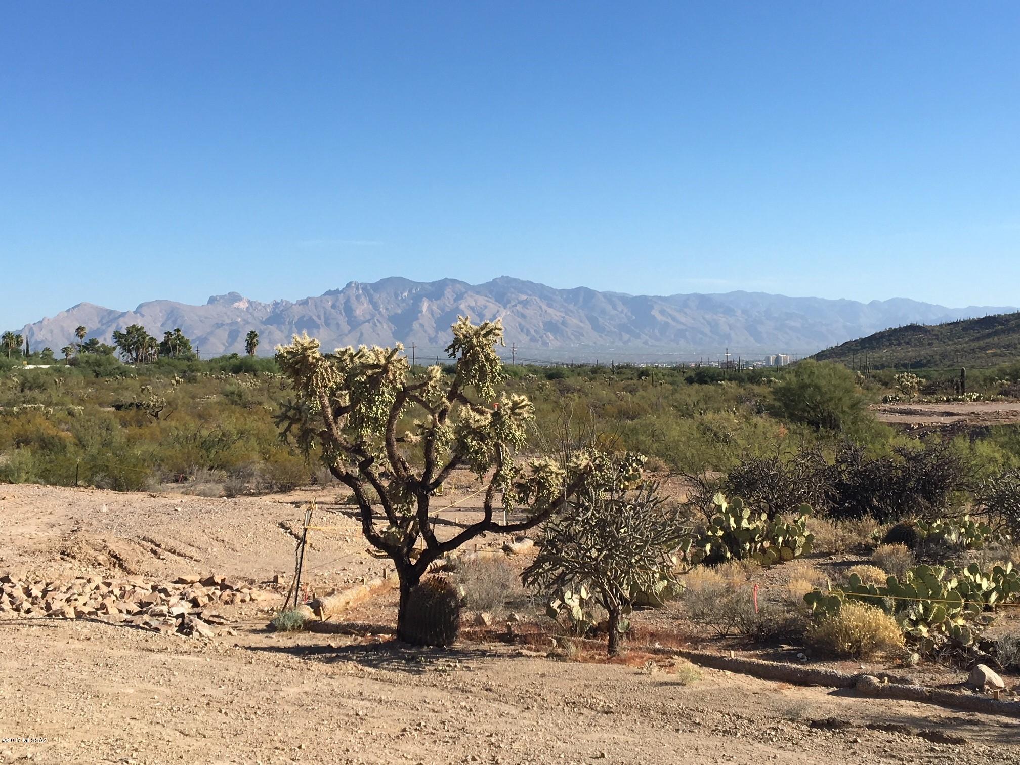 Starr Pass - Residential