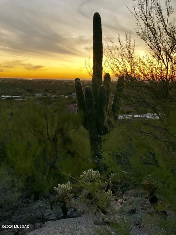Rancho Cancion West (1-150) - Land