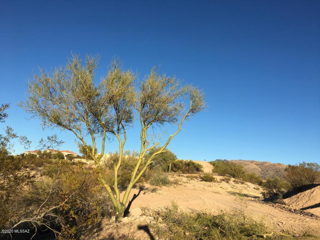 Rancho Cancion West (1-150) - Land