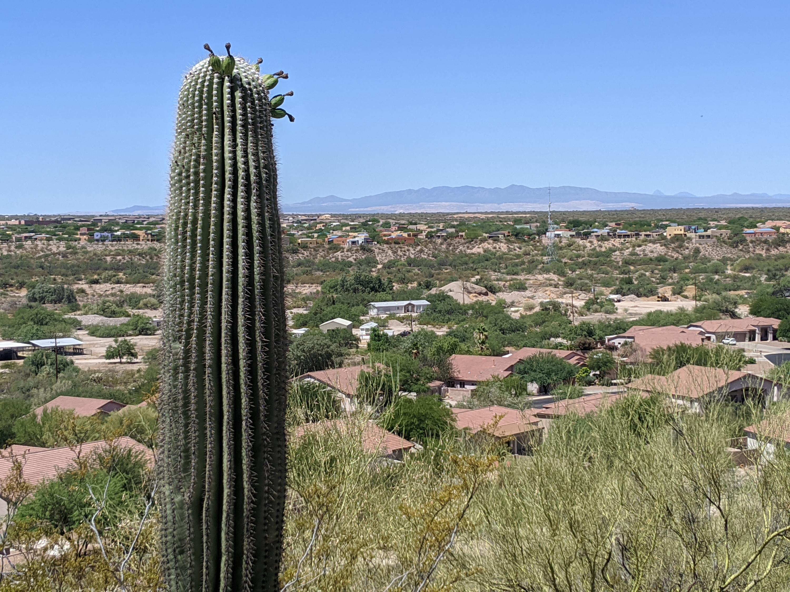 Rancho Cancion West (1-150) - Land
