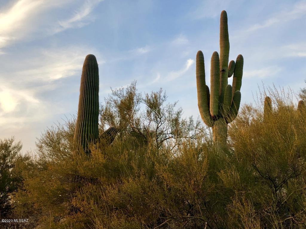 Rancho Cancion West (1-150) - Land