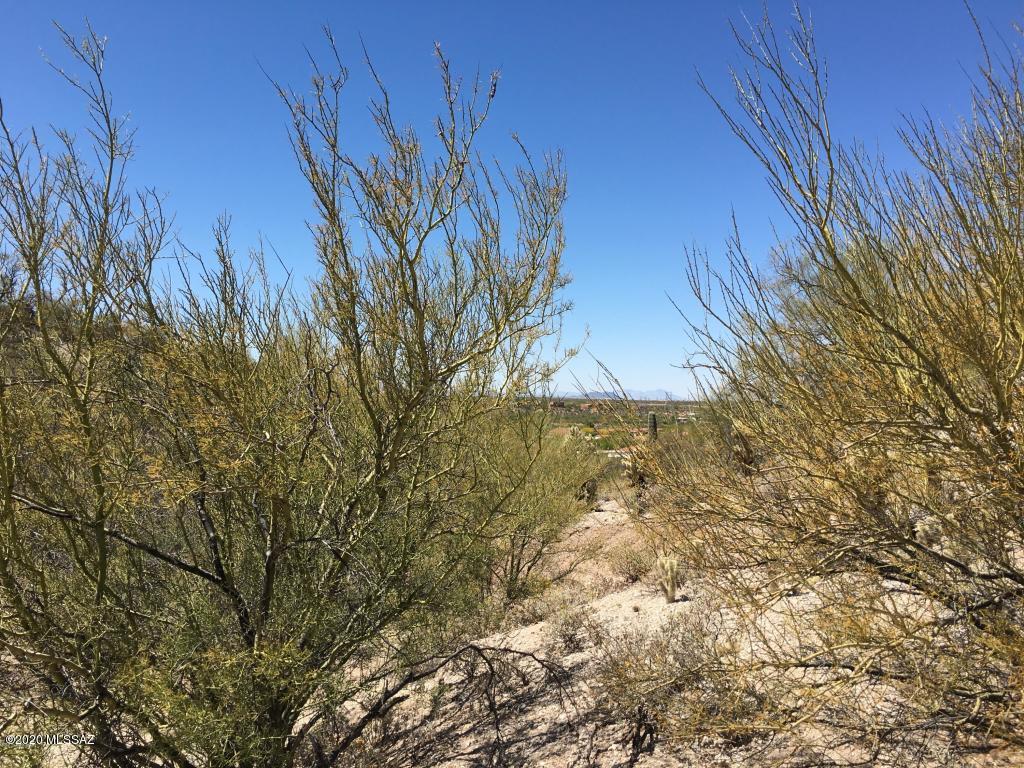 Rancho Cancion West (1-150) - Land