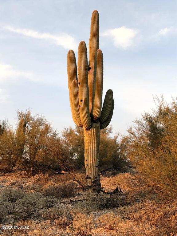 Rancho Cancion West (1-150) - Land