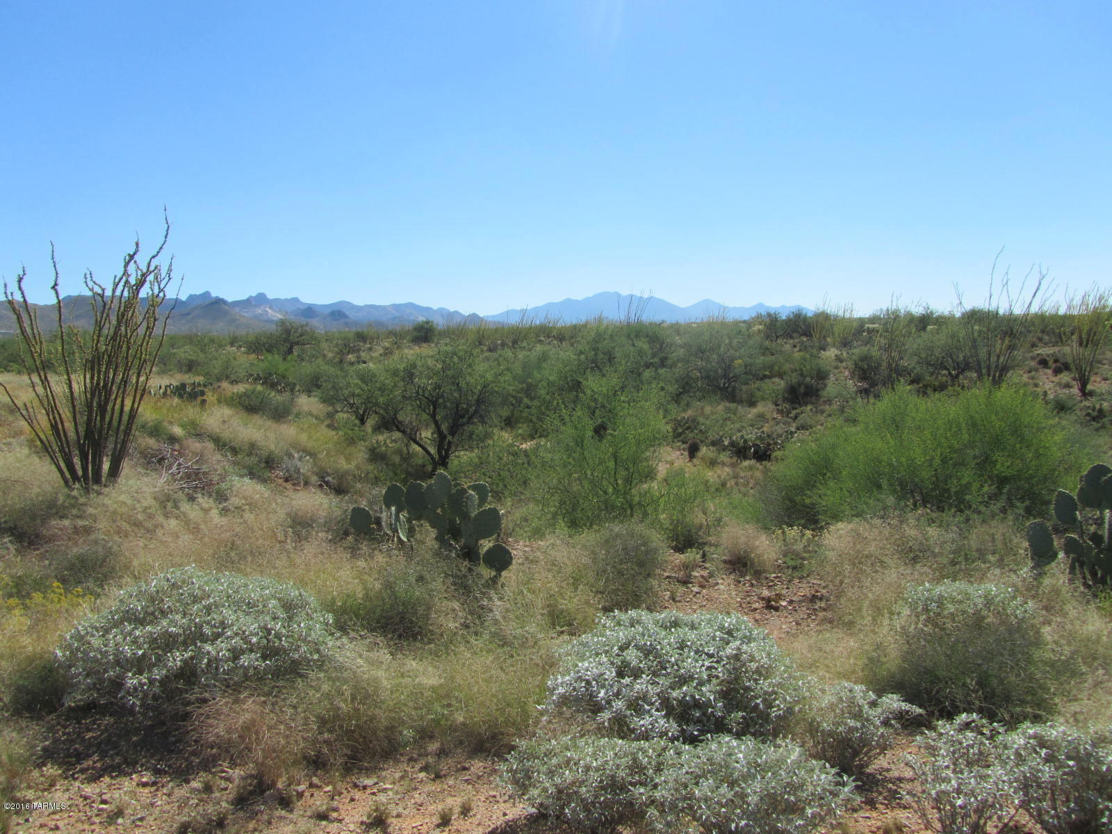 New Tucson Unit NO. 8 (1-455) - Land