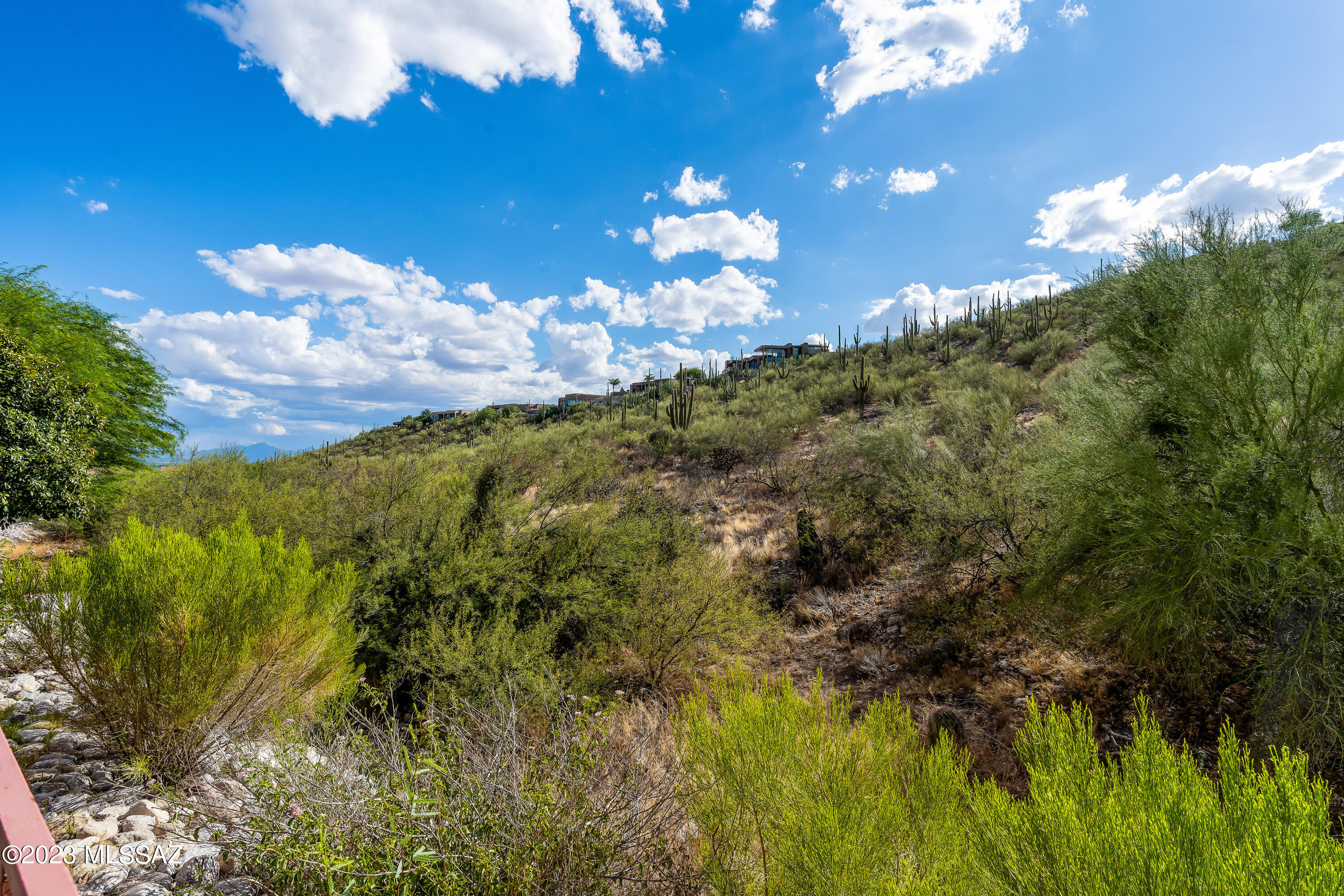 Sabino Mountain (1-290) - Residential Lease