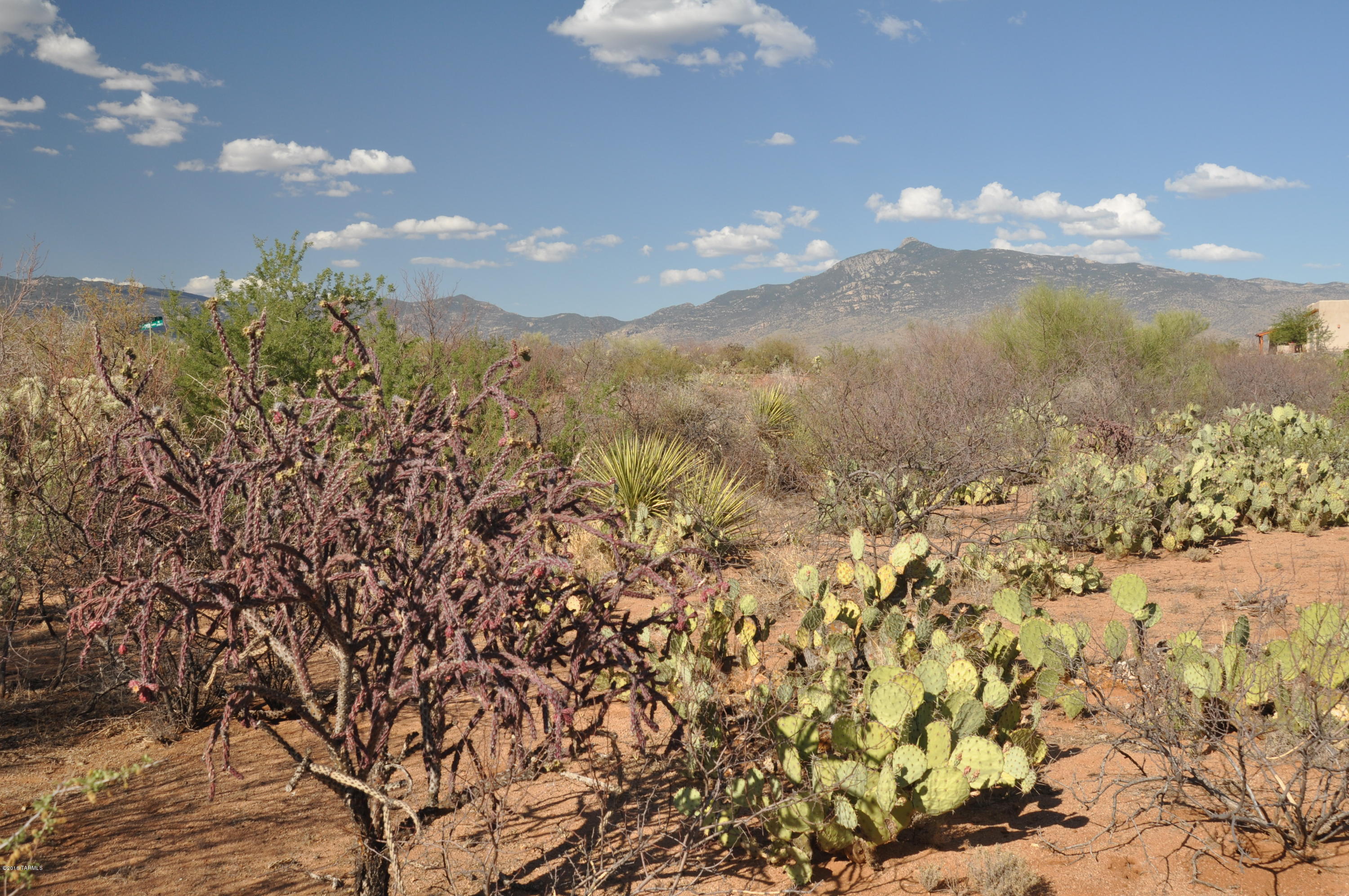 Mountain Creek Ranch (1-64) - Land