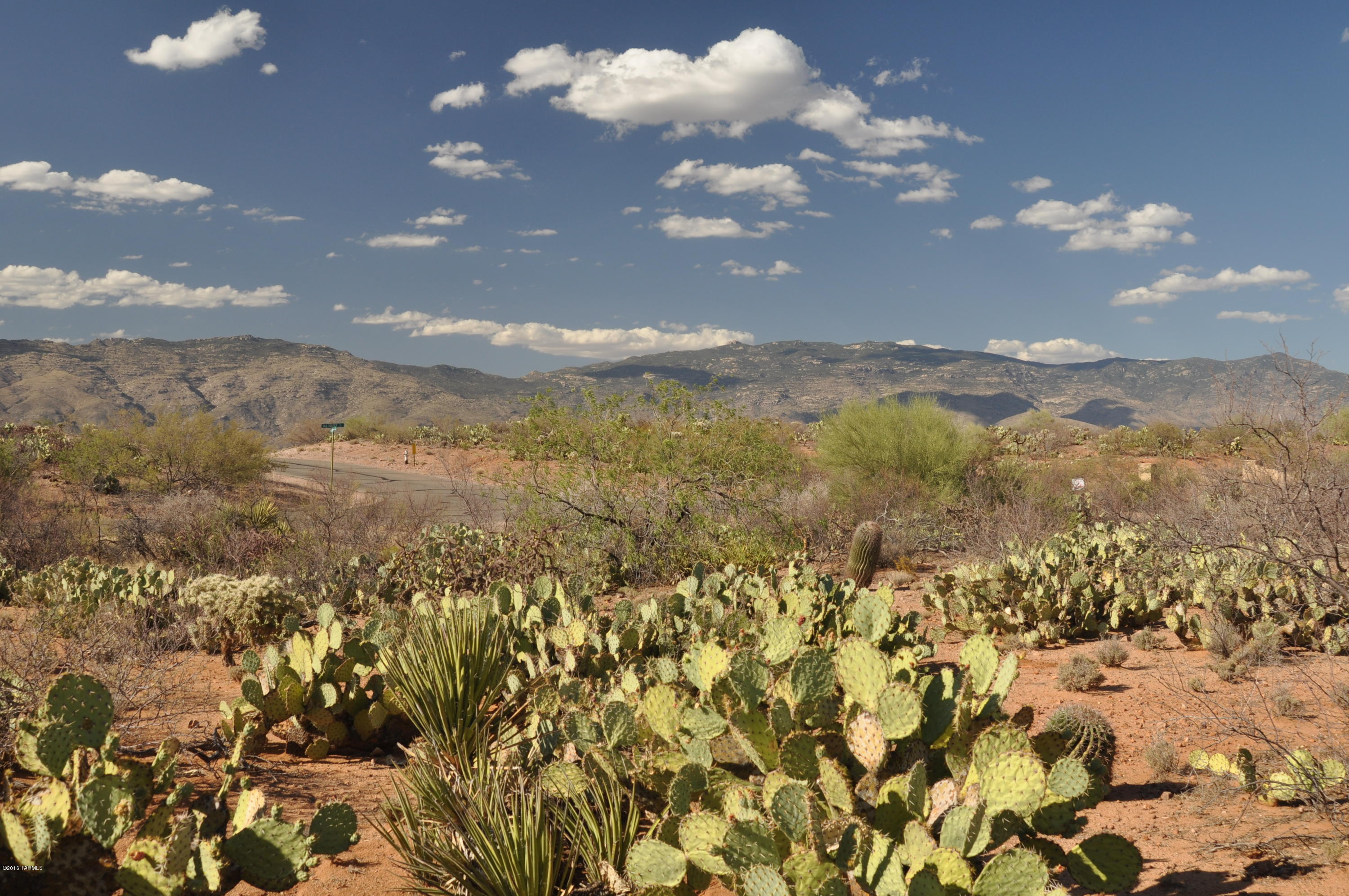 Mountain Creek Ranch (1-64) - Land
