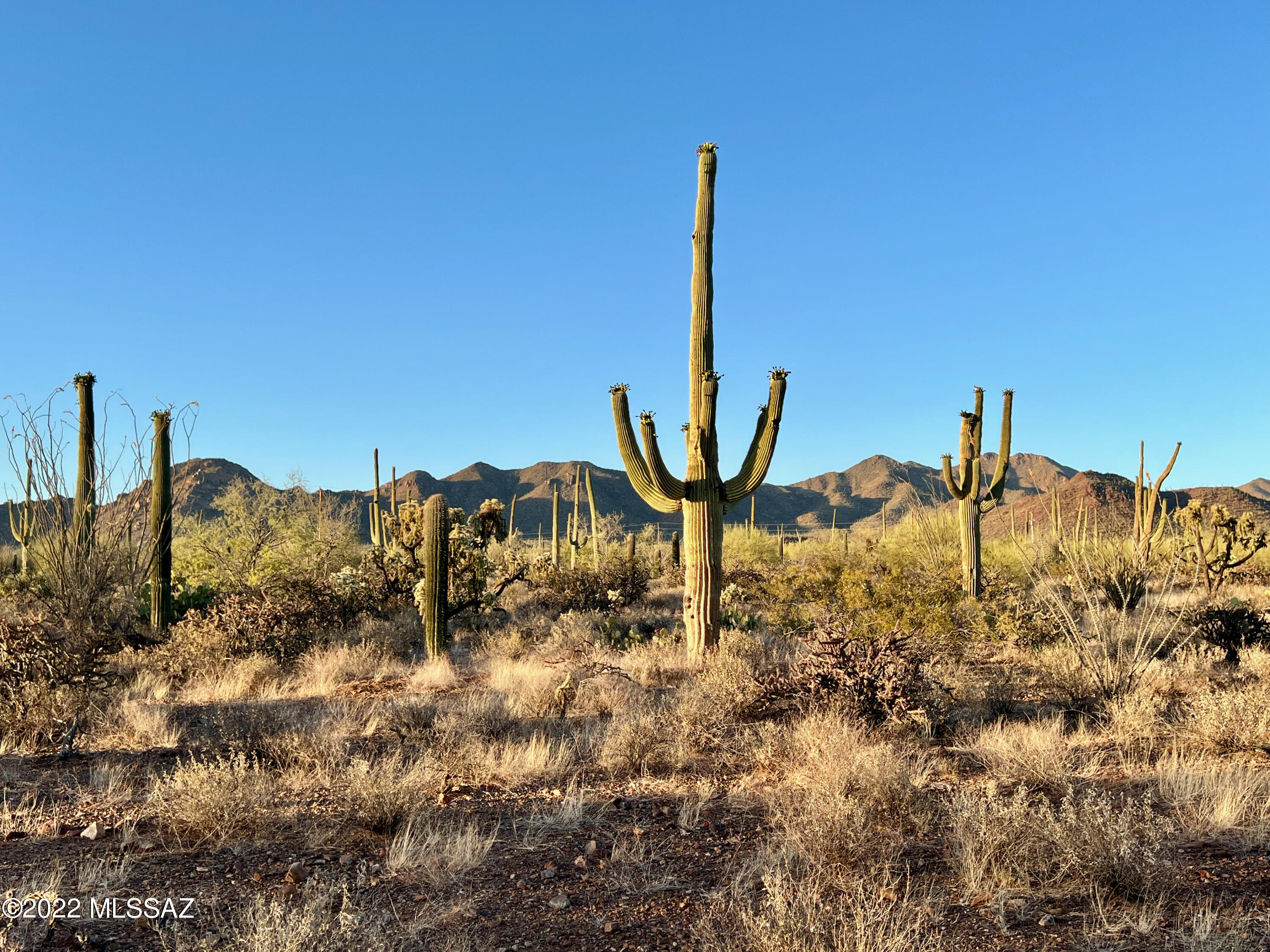4.96 acres of the most beautiful peaceful Sonoran Desert property West of I-10 that comes with electric to the lot line and a well share for water. Watch the most breathtaking sunsets as you soak in the lush desert surroundings with views for miles and miles. Build your dream home on this one. Neighborhood has cc&r's that only allow site-built, Single family Homes. Only 30 minutes to downtown Tucson and in a small Niche neighborhood right next to the Saguaro National Park West and the Sonoran Desert Museum. Neighboring property is a commercial bed and breakfast quietly run with tranquility in mind. Put in a septic and build! Properties like this don't come along too often for this price! Neighboring property is for sale as well! See MLS# 22214390.