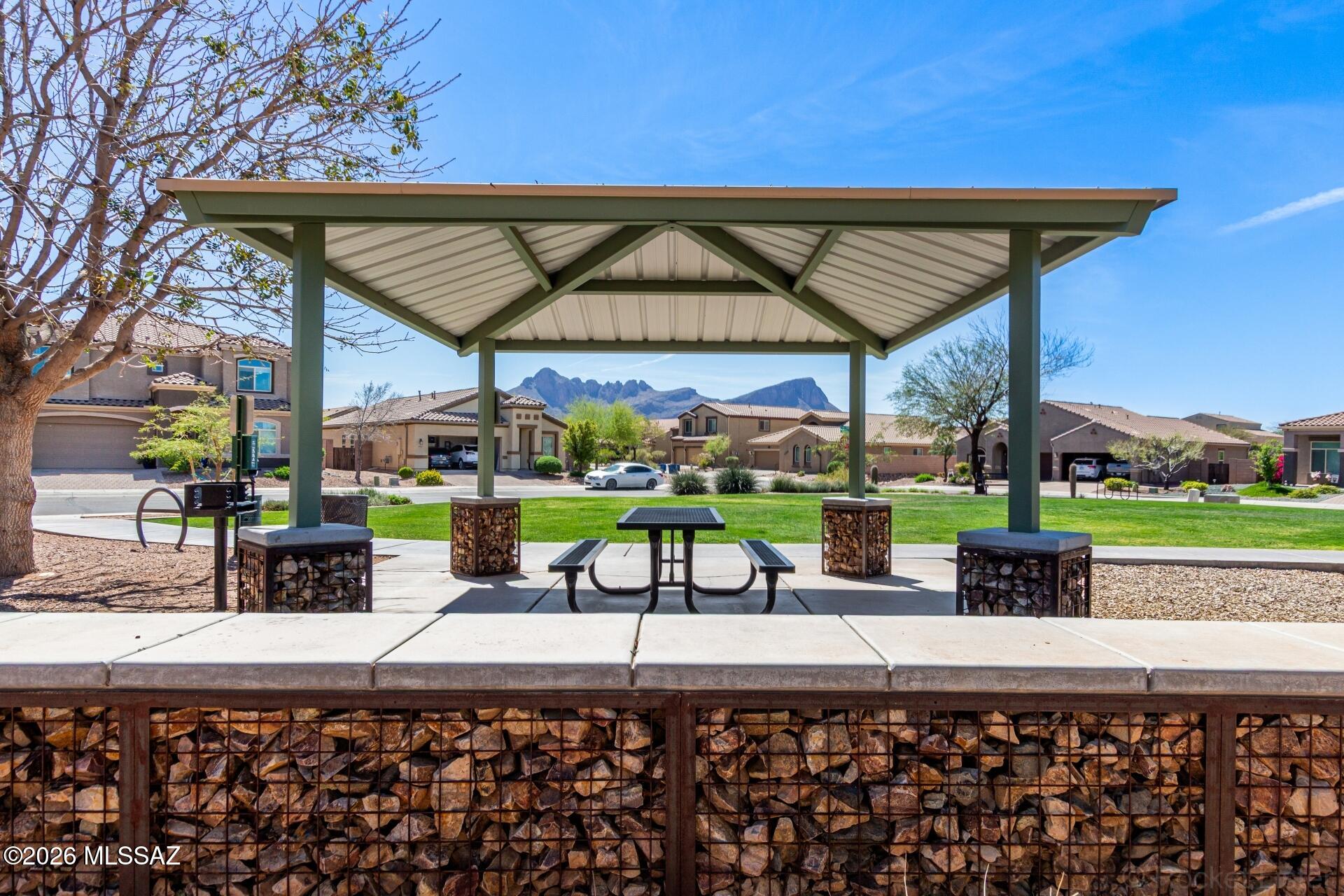Saguaro Bloom SQ20180540069 - Residential