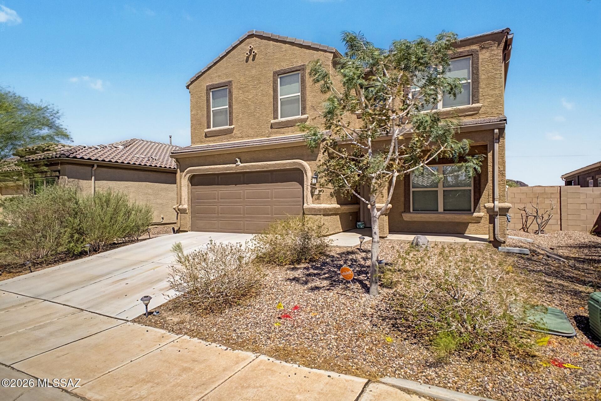 Saguaro Bloom SQ20180540069 - Residential