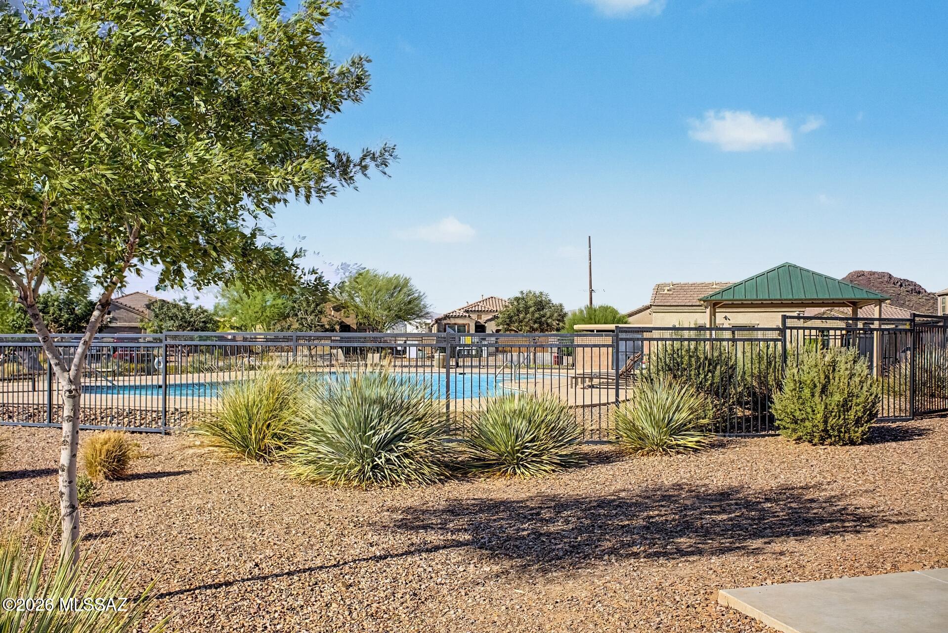 Saguaro Bloom SQ20180540069 - Residential