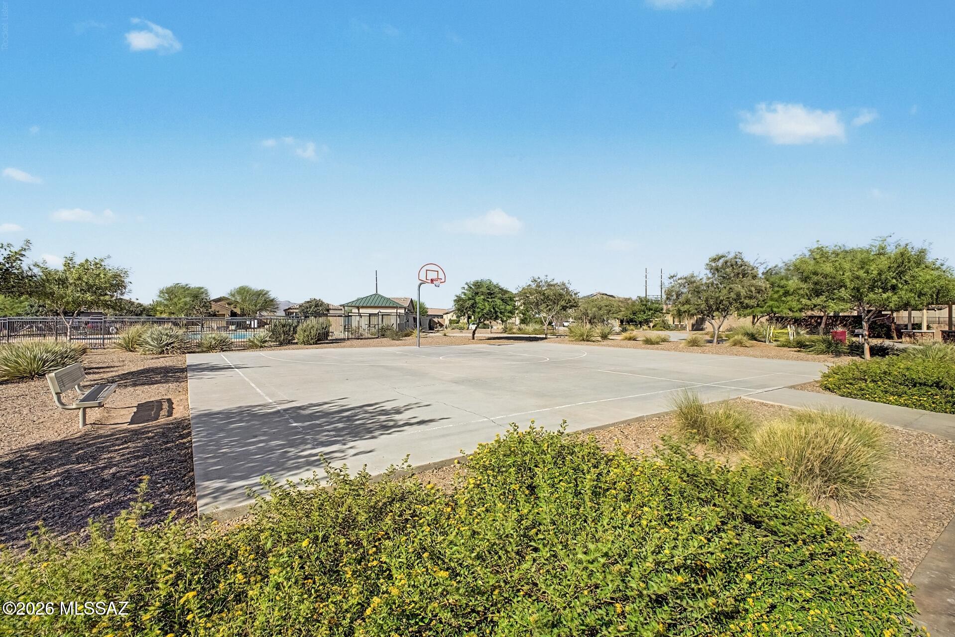 Saguaro Bloom SQ20180540069 - Residential