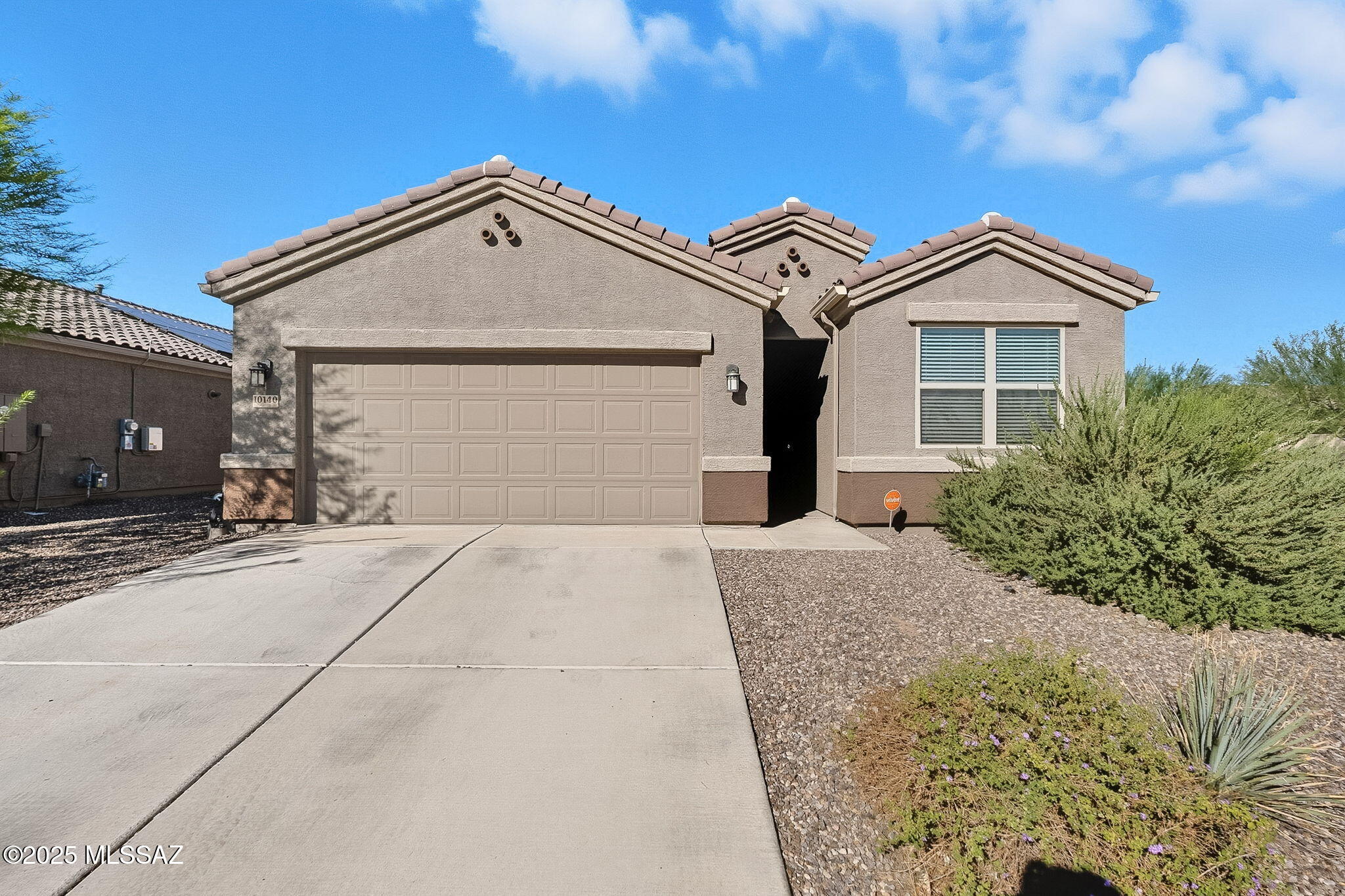 Saguaro Bloom SQ20180540069 - Residential