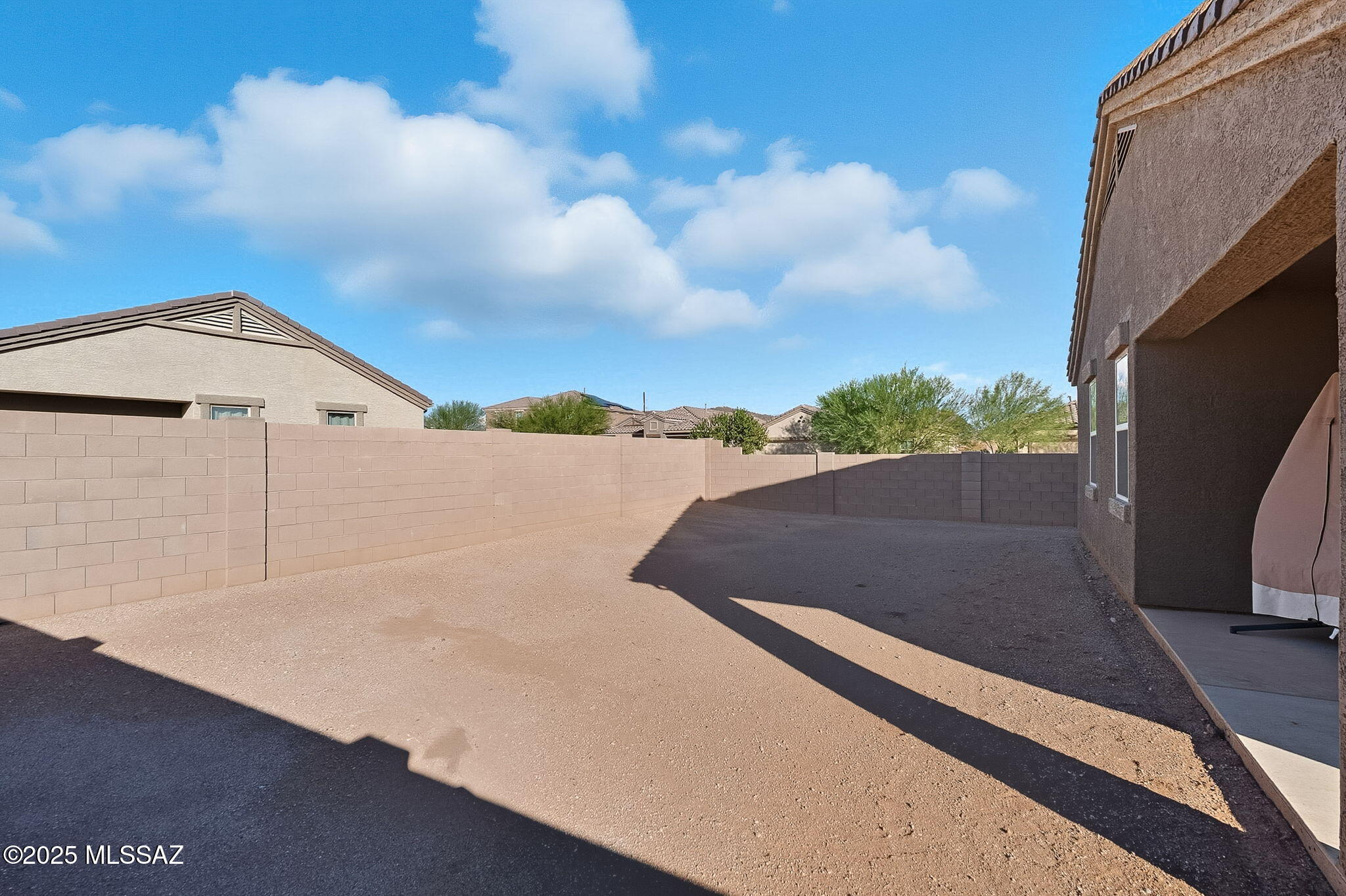 Saguaro Bloom SQ20180540069 - Residential