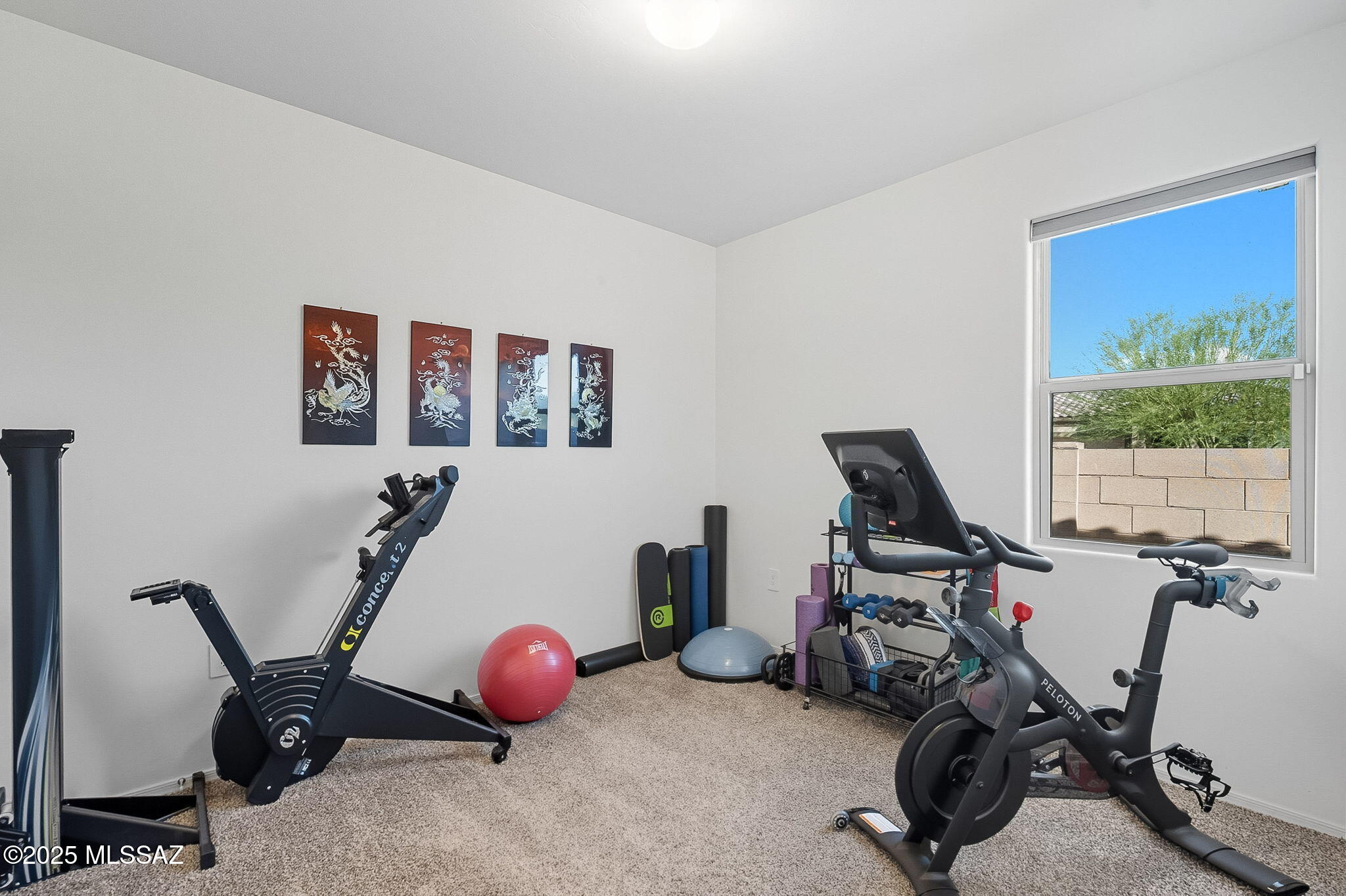 Saguaro Bloom SQ20180540069 - Residential