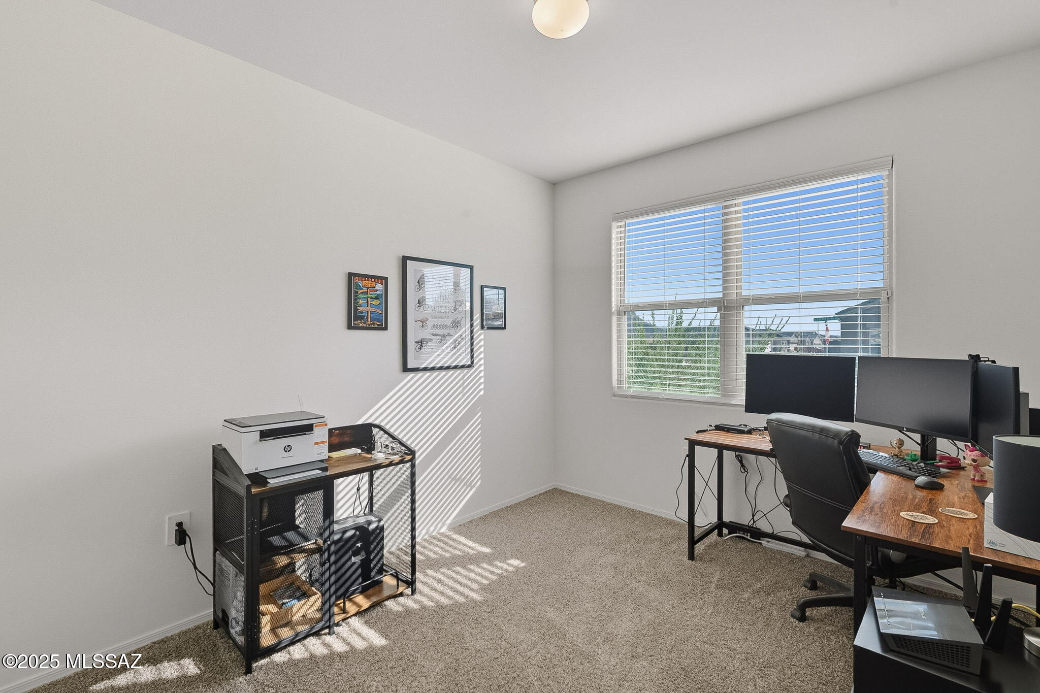 Saguaro Bloom SQ20180540069 - Residential