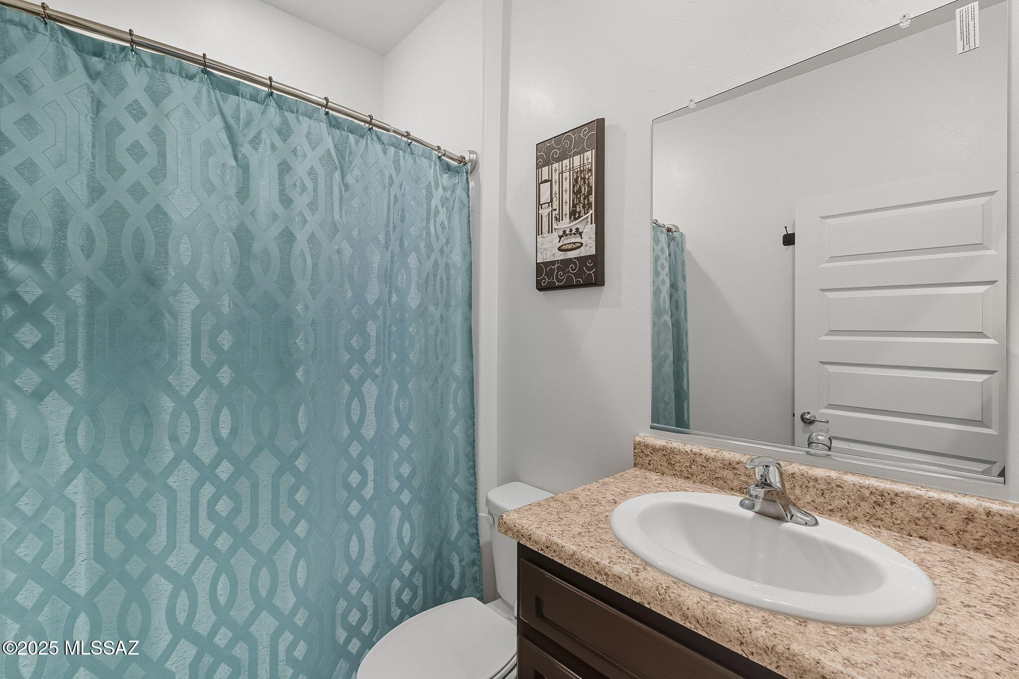 Saguaro Bloom SQ20180540069 - Residential