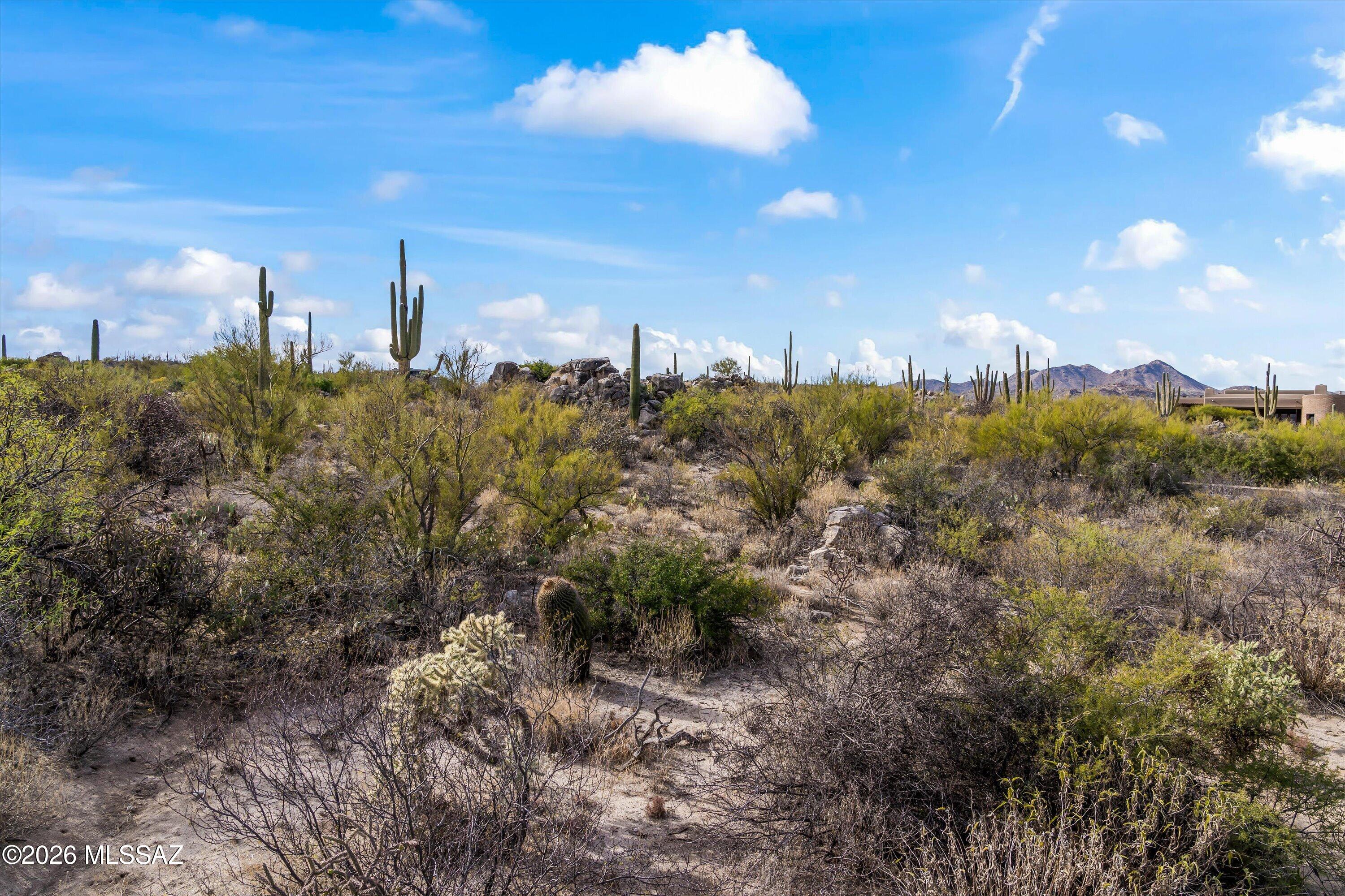 Honey Bee Ridge(The Estates At) - Land