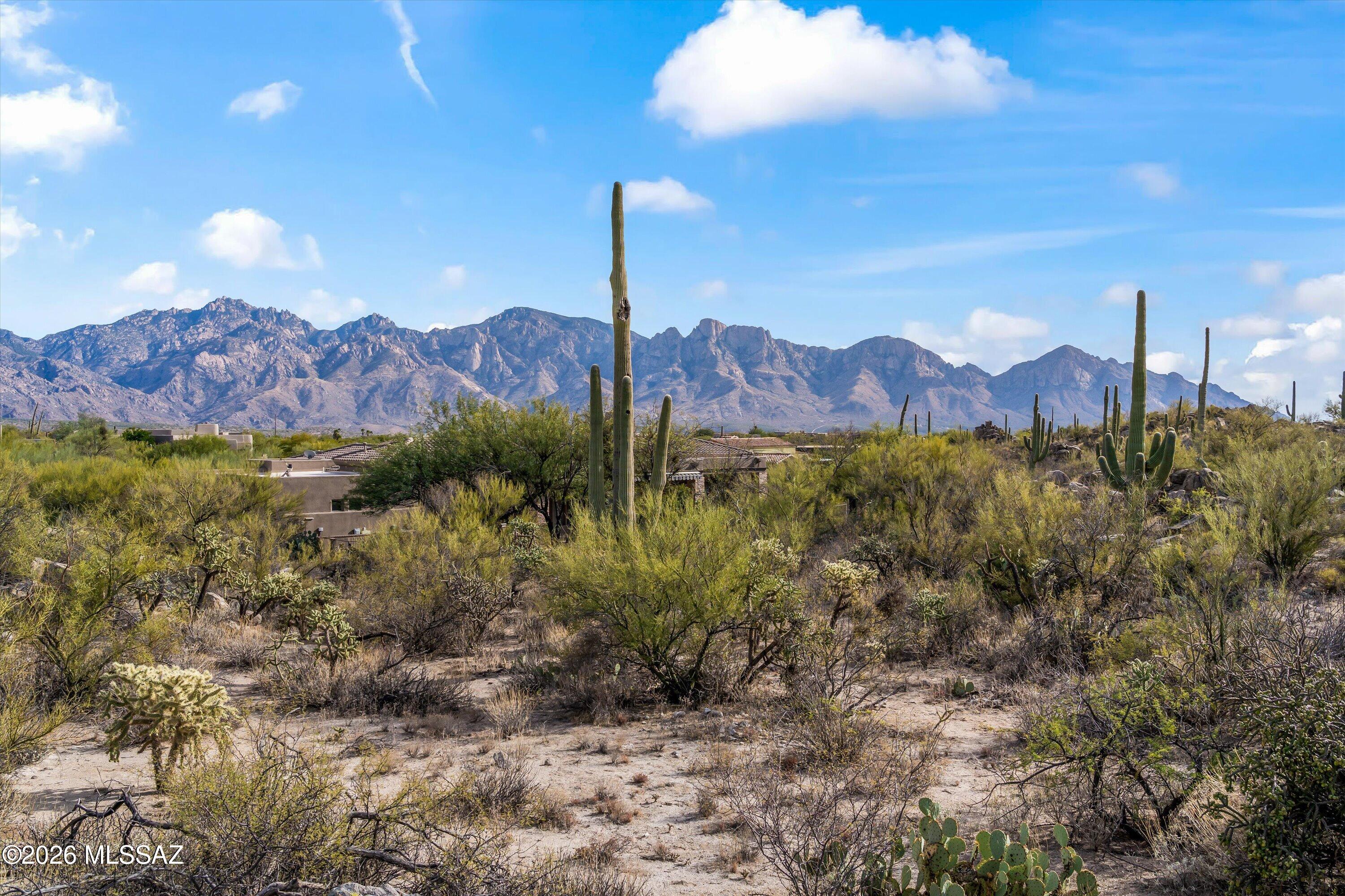 Honey Bee Ridge(The Estates At) - Land