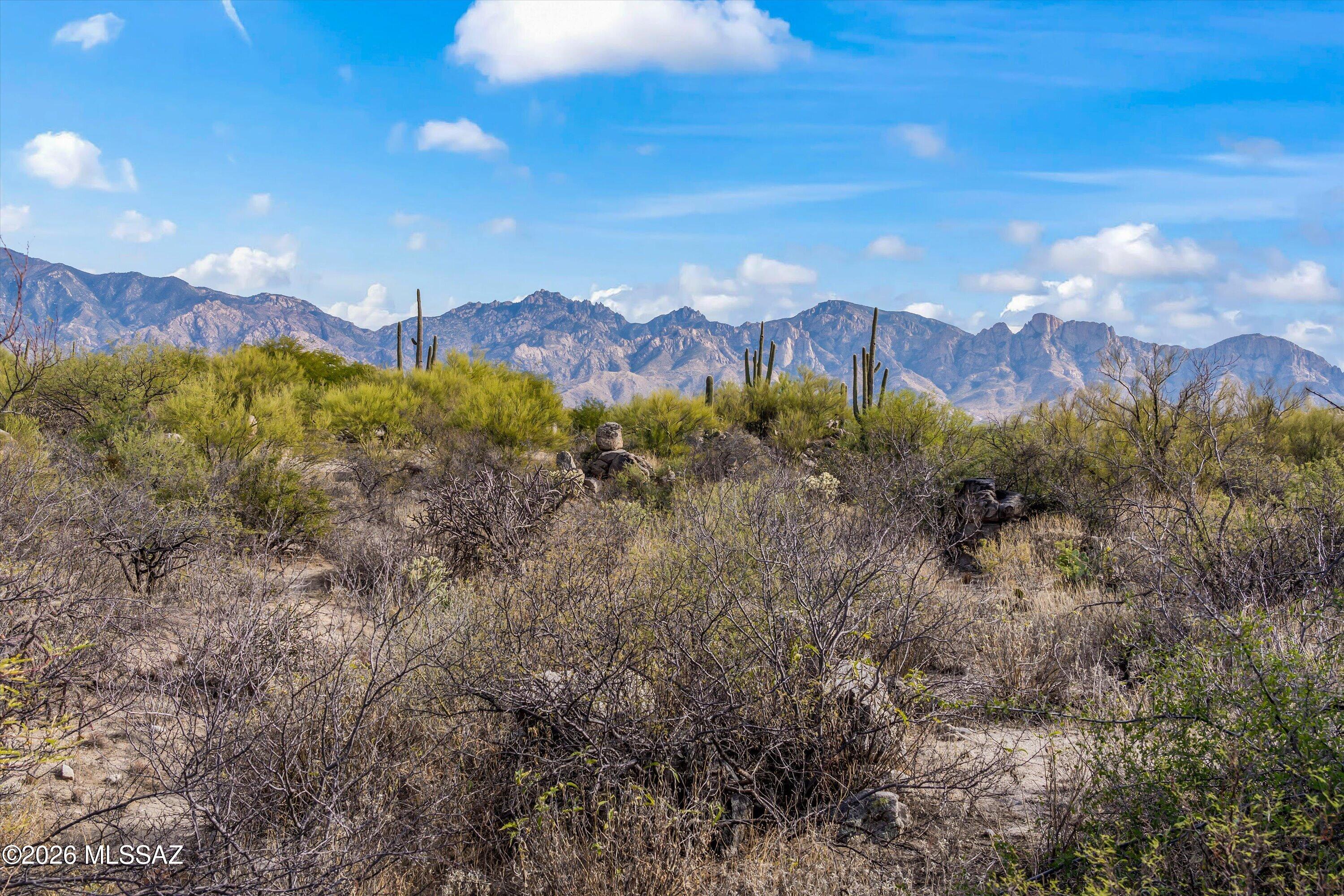 Honey Bee Ridge(The Estates At) - Land