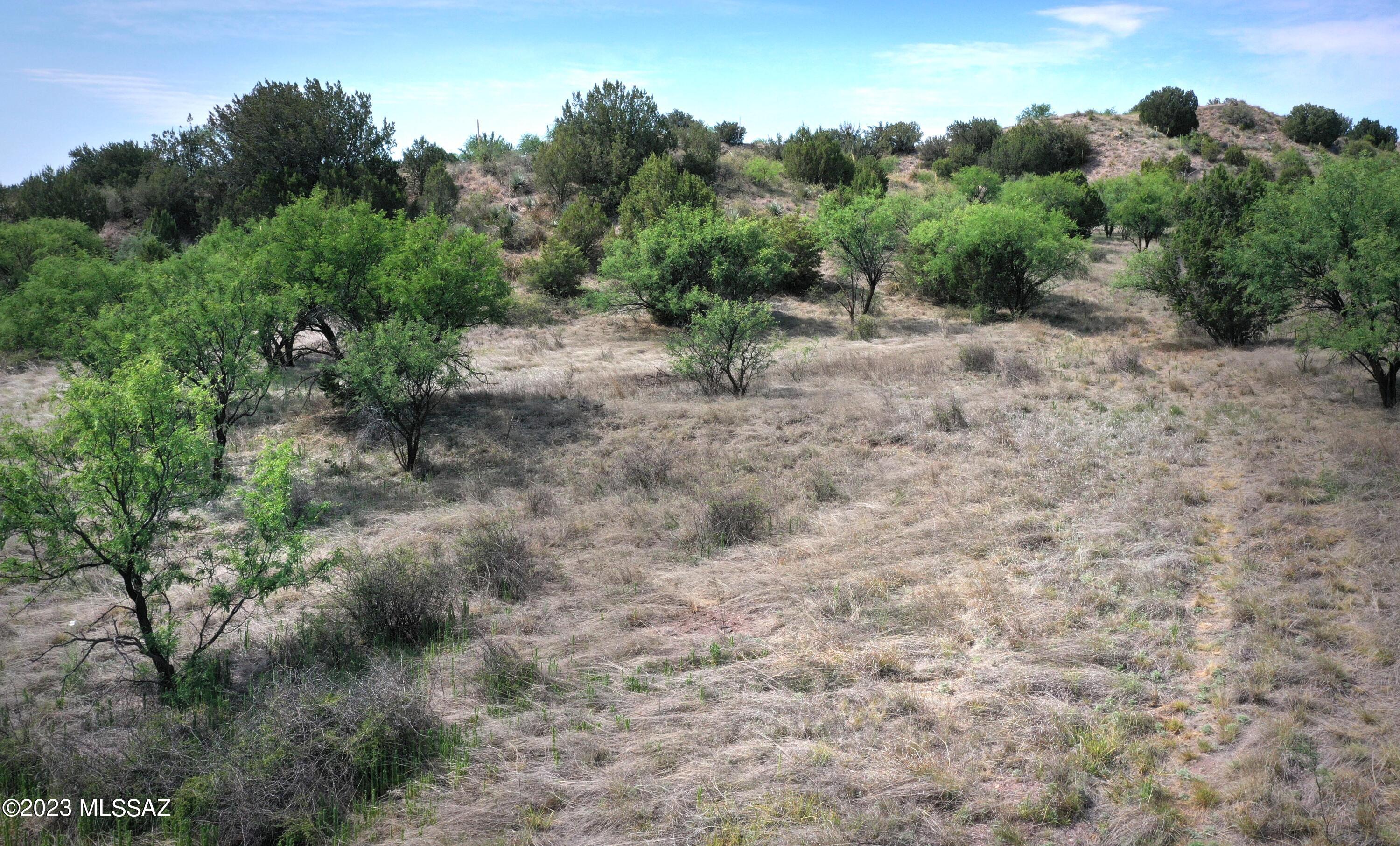 Three Canyons - Land