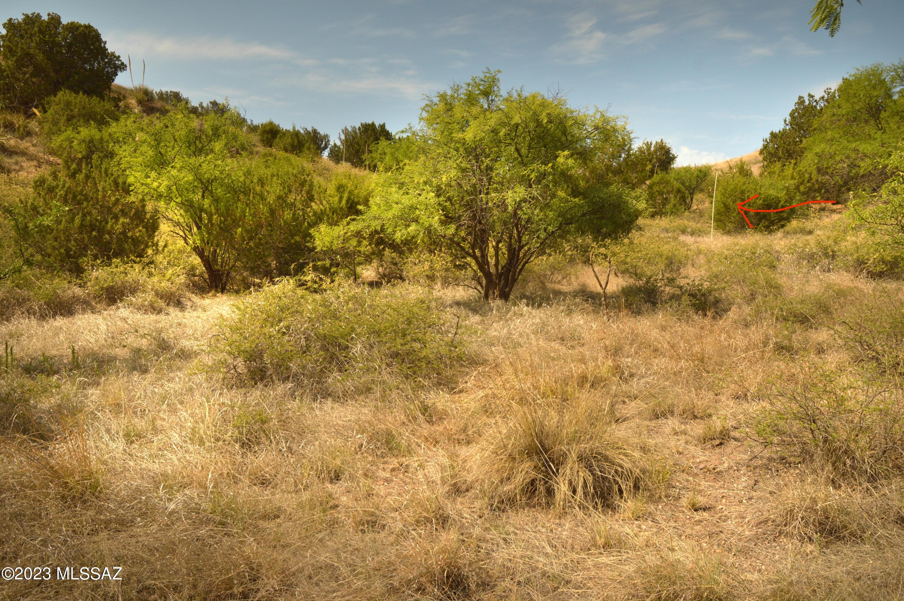 Three Canyons - Land
