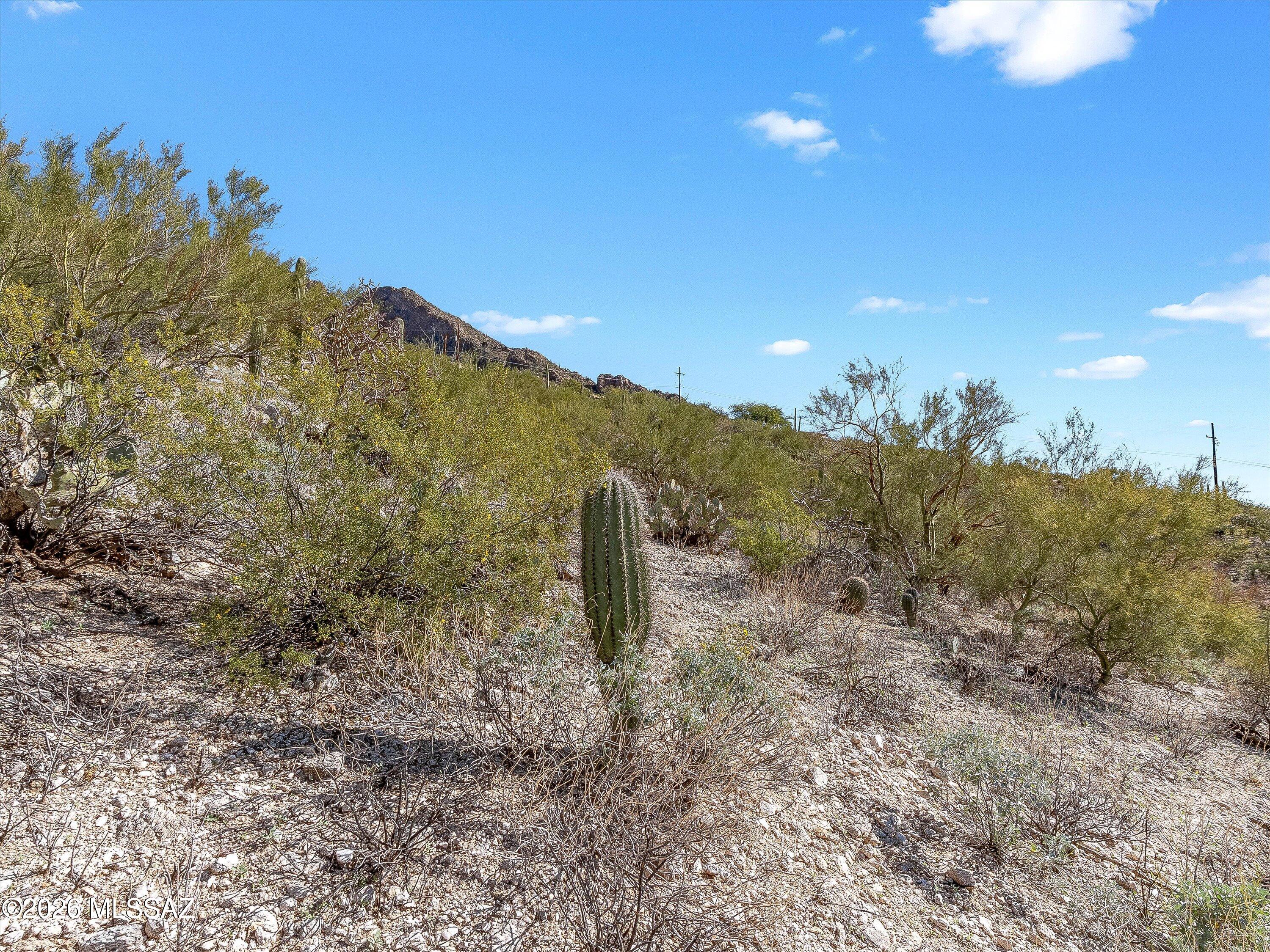 Shadow Mountain Estates - East - Land