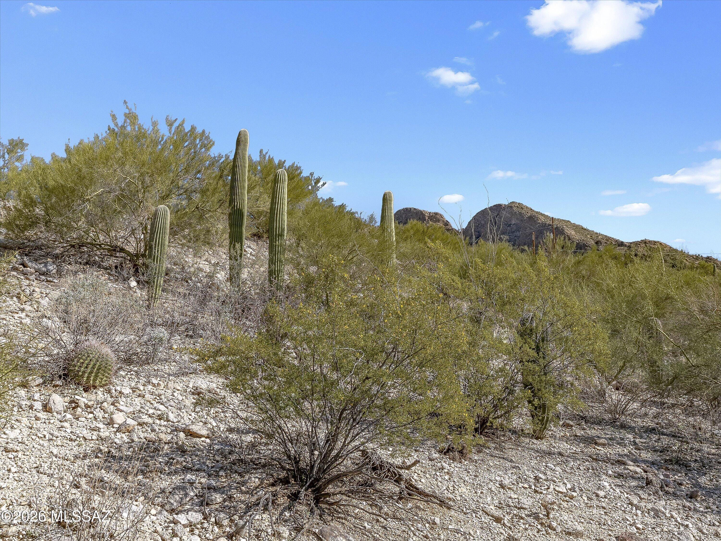 Shadow Mountain Estates - East - Land