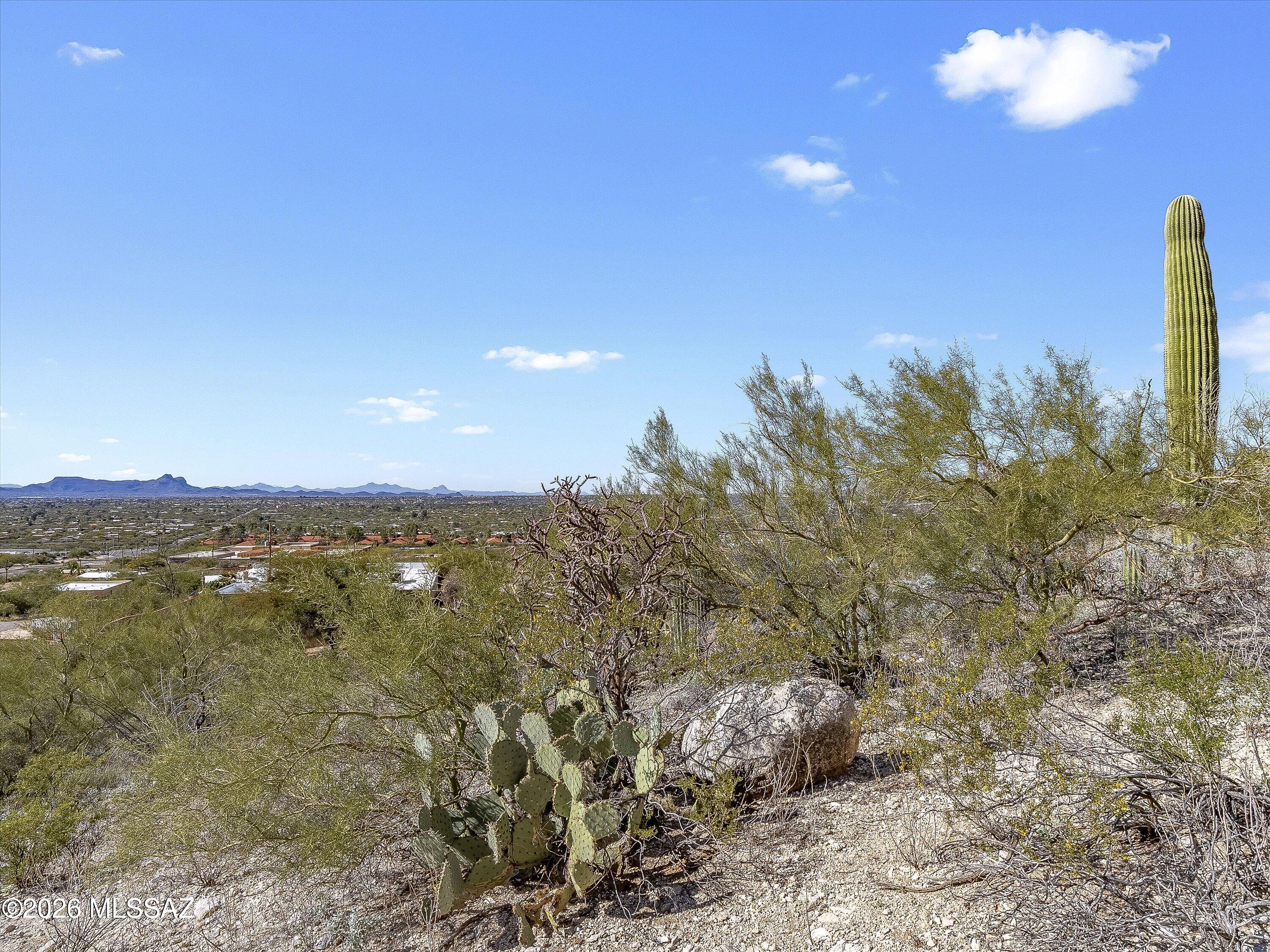 Shadow Mountain Estates - East - Land