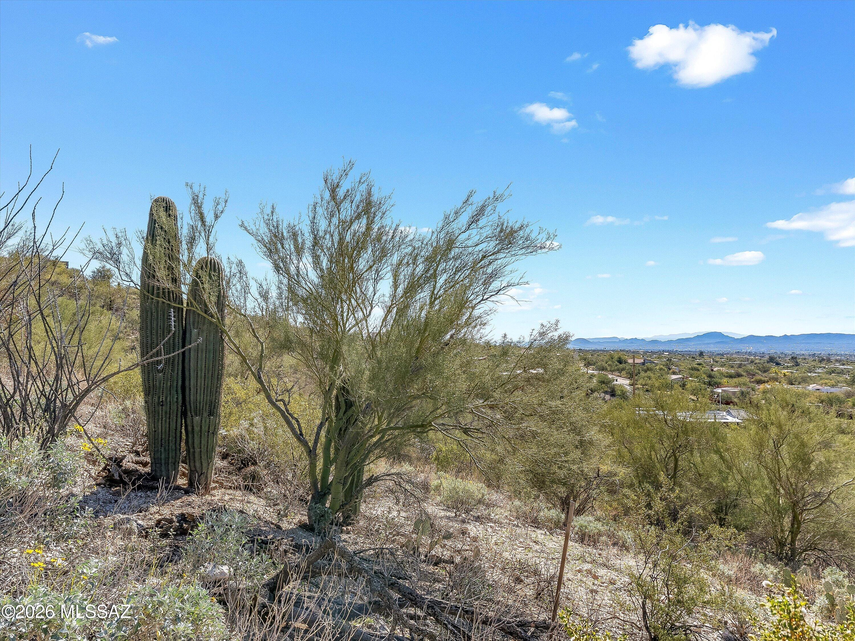 Shadow Mountain Estates - East - Land