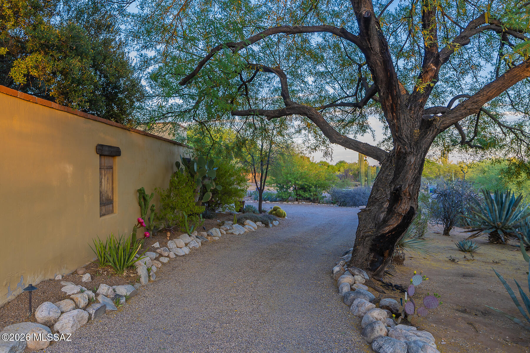 Catalina Foothills Estates NO. 7 (250-314) - Residential