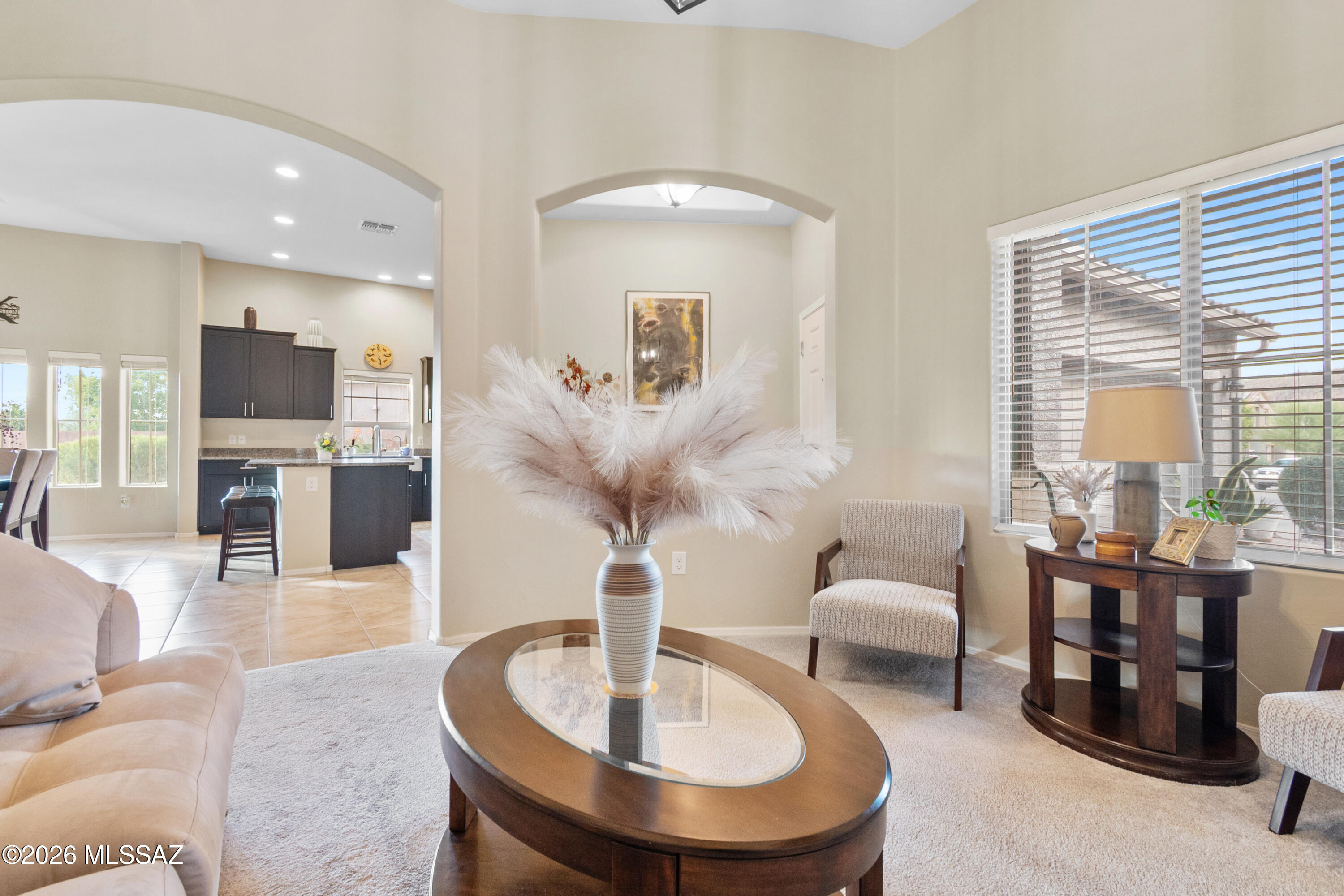 Saguaro Springs Block 8B (131-399) - Residential
