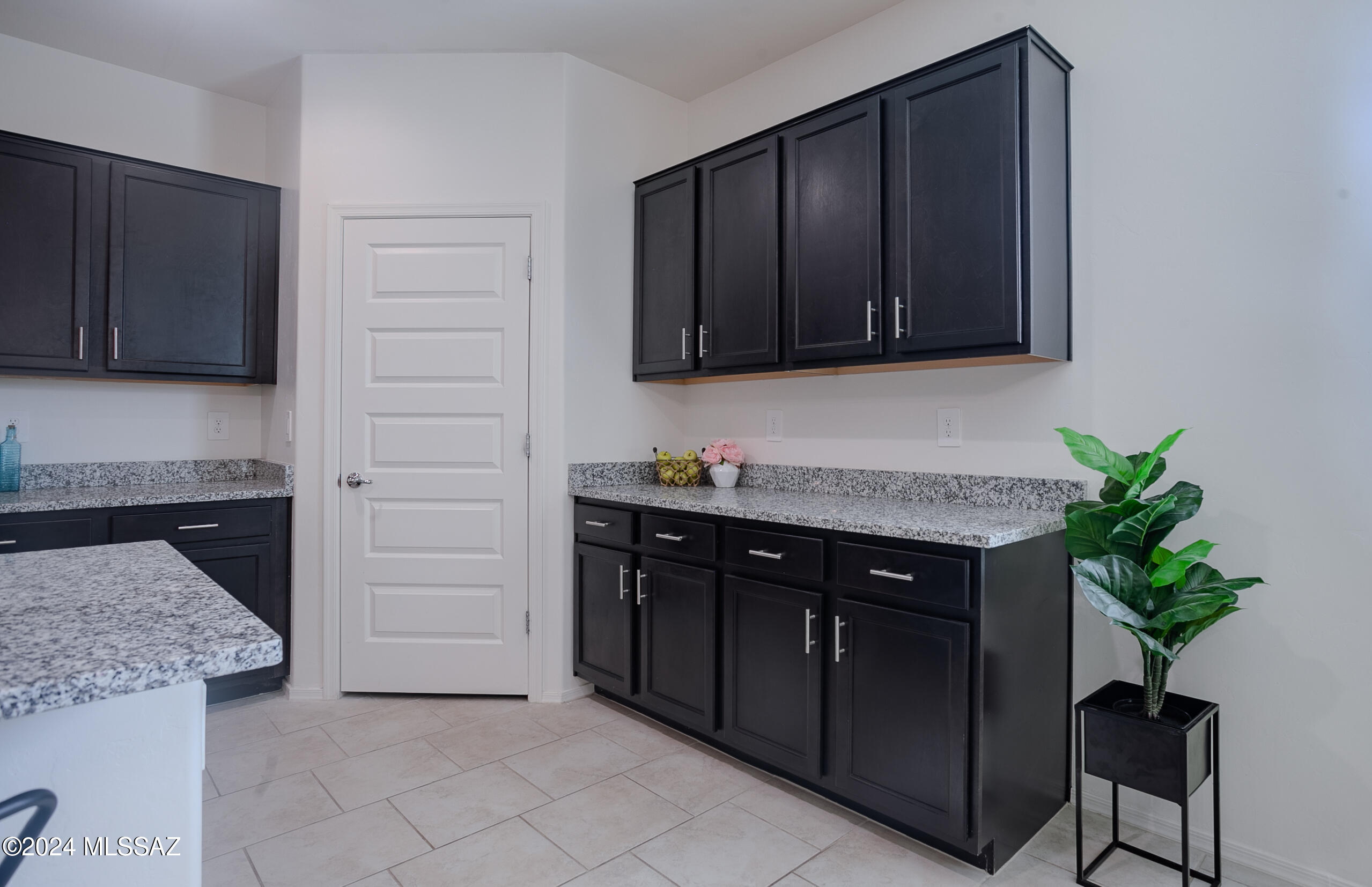 Saguaro Bloom SQ20180540069 - Residential