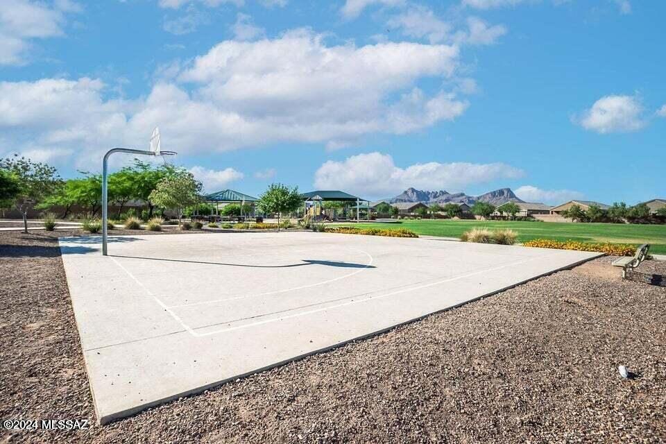 Saguaro Bloom SQ20180540069 - Residential