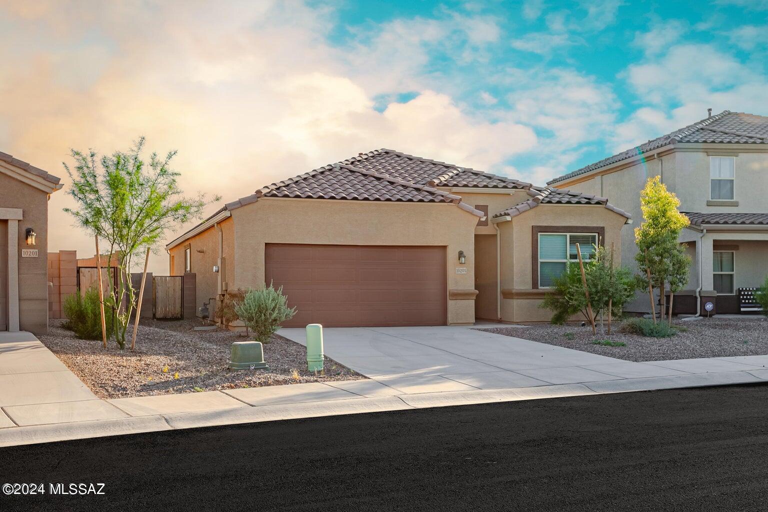 Saguaro Bloom SQ20180540069 - Residential