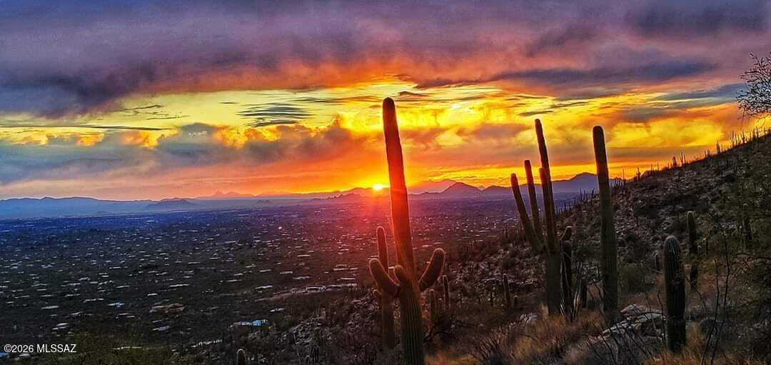 BACK ON THE MARKET!!!! UNDER APPRAISAL
 Escape to Your Mountain Paradise! 🏞️
VIEWS ,VIEWS, VIEWS, Discover an Arizona desert masterpiece with this breathtaking 13.25 (Dividable) acres of vacant land for sale nestled in the Catalina mountains amidst the splendor of towering peaks and lush landscaping, this idyllic property offers a once-in-a-lifetime opportunity to create your dream mountain retreat. Start and end your day with awe-inspiring sunrises and sunsets that paint the sky with vibrant hues. Capture these magical moments and create memories that will last a lifetime.