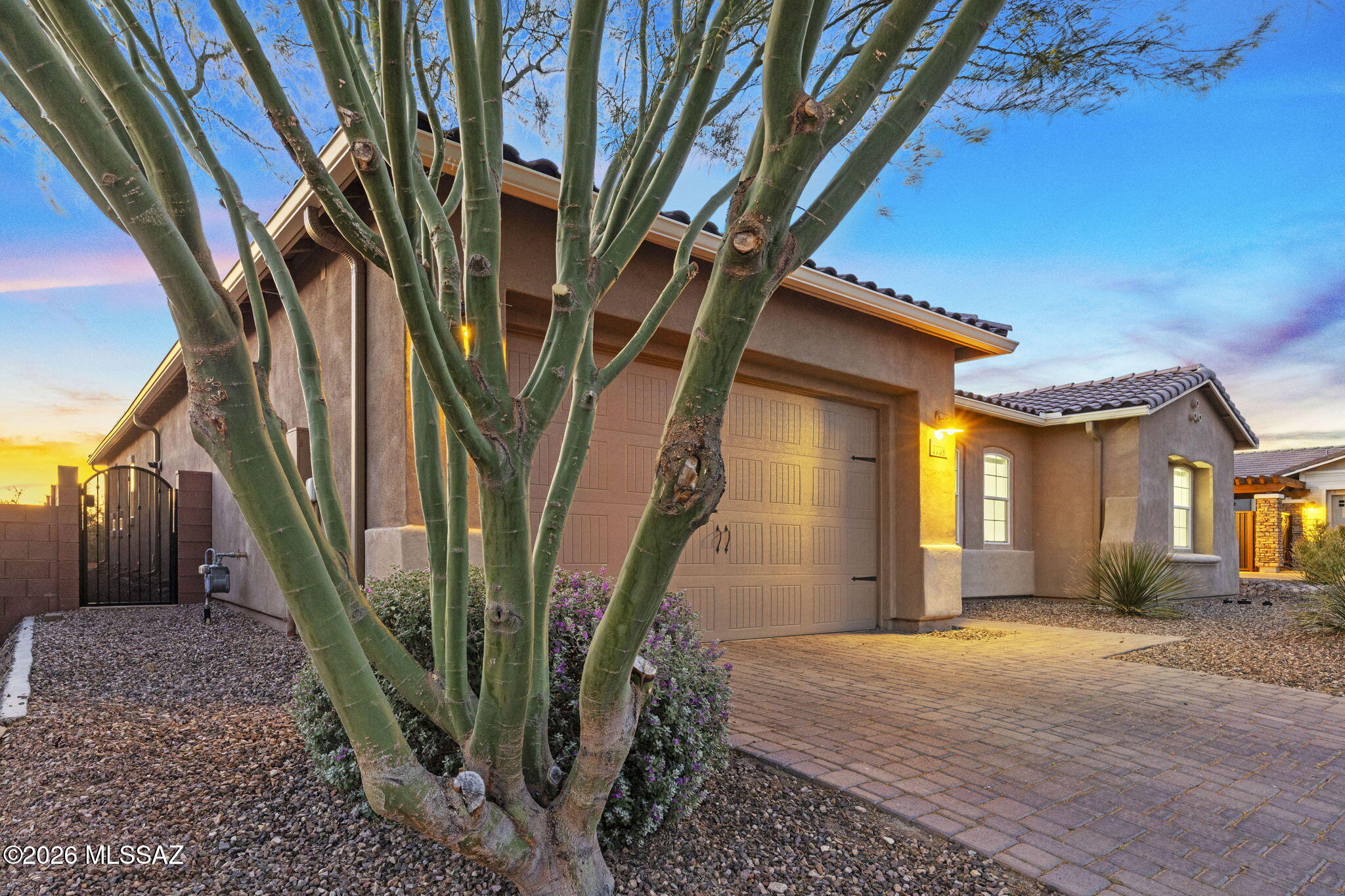 Blue Agave At Dove Mountain - Residential