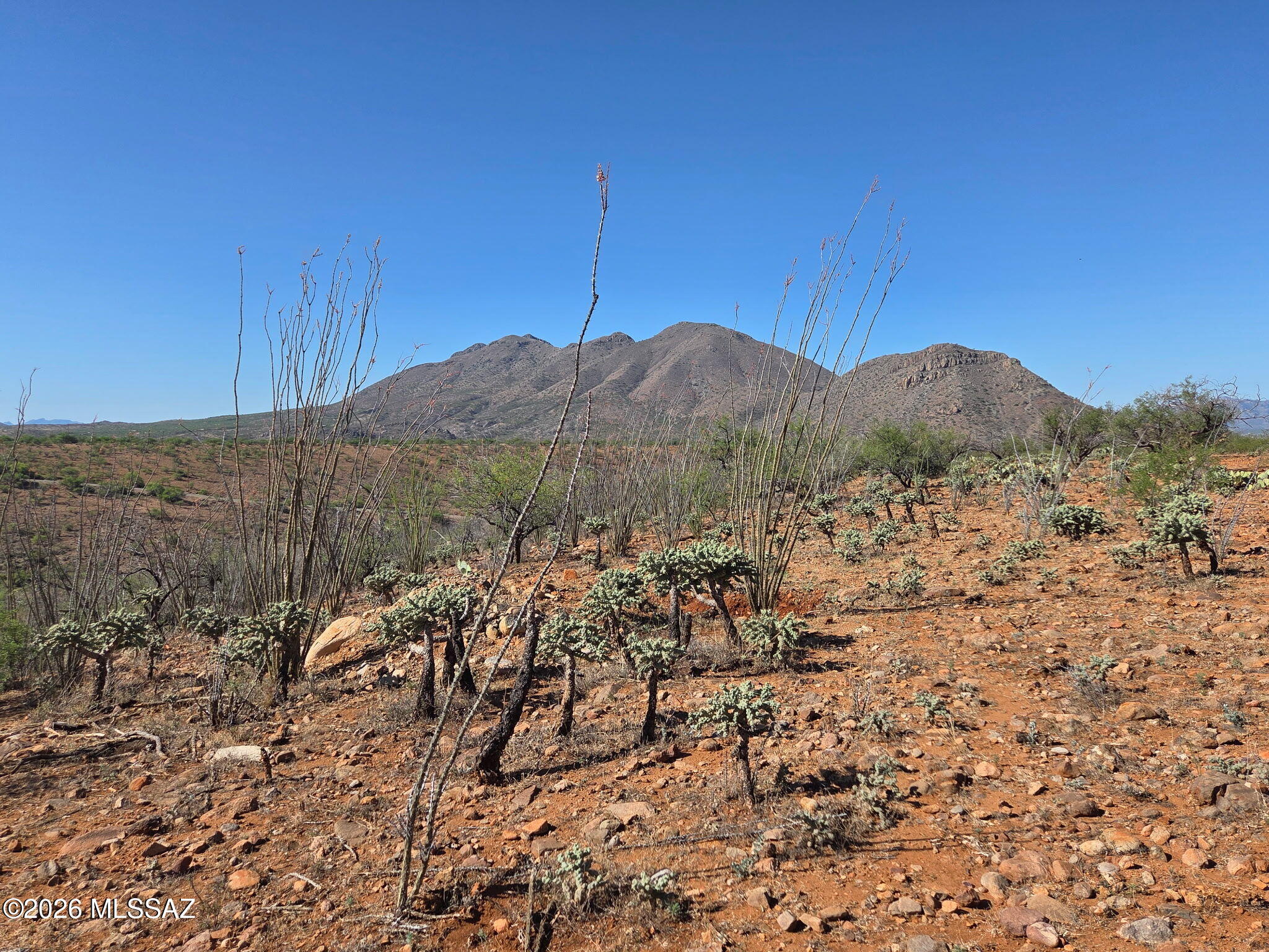 Tubac Foothills Ranch - Land