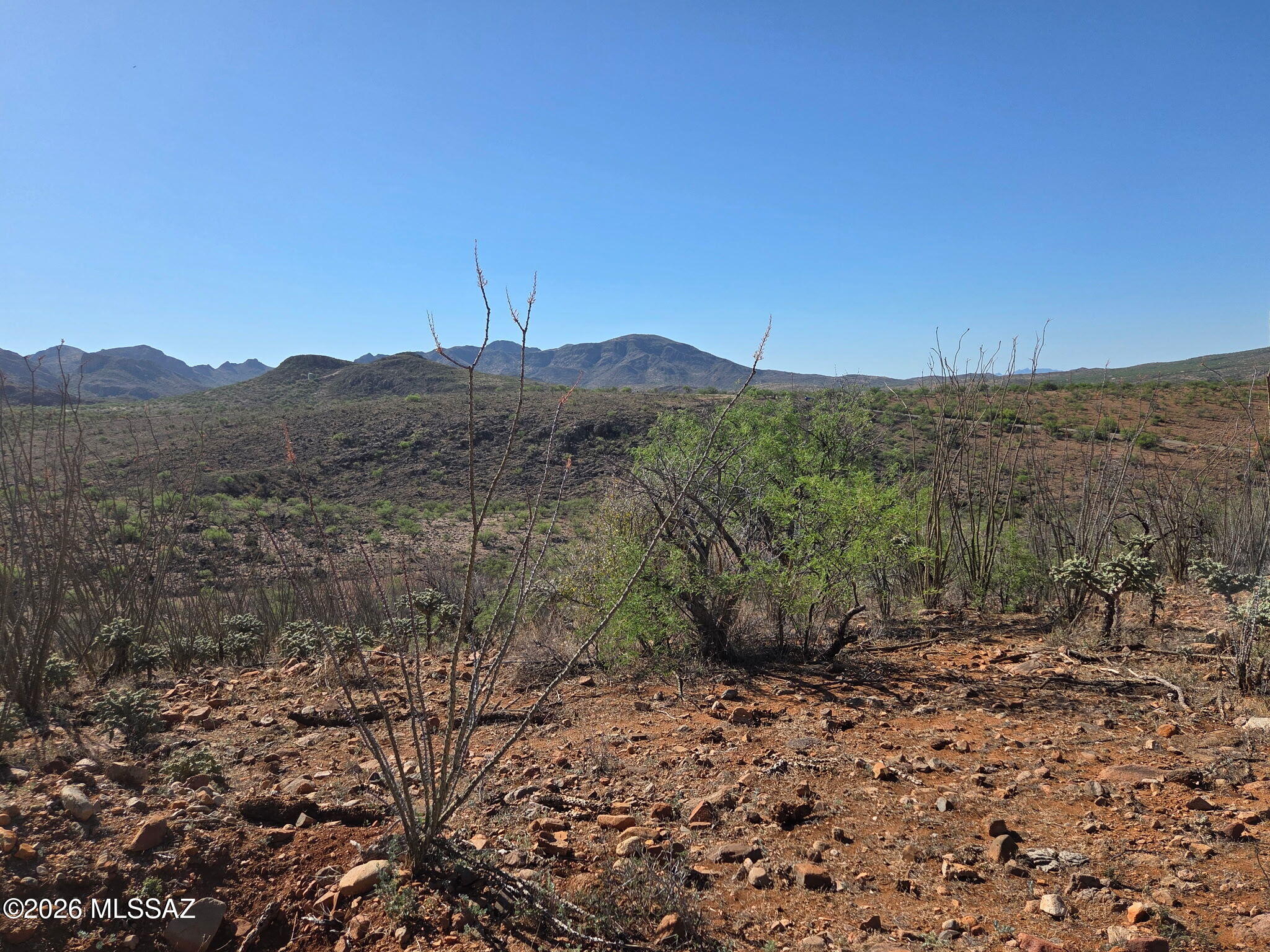 Tubac Foothills Ranch - Land