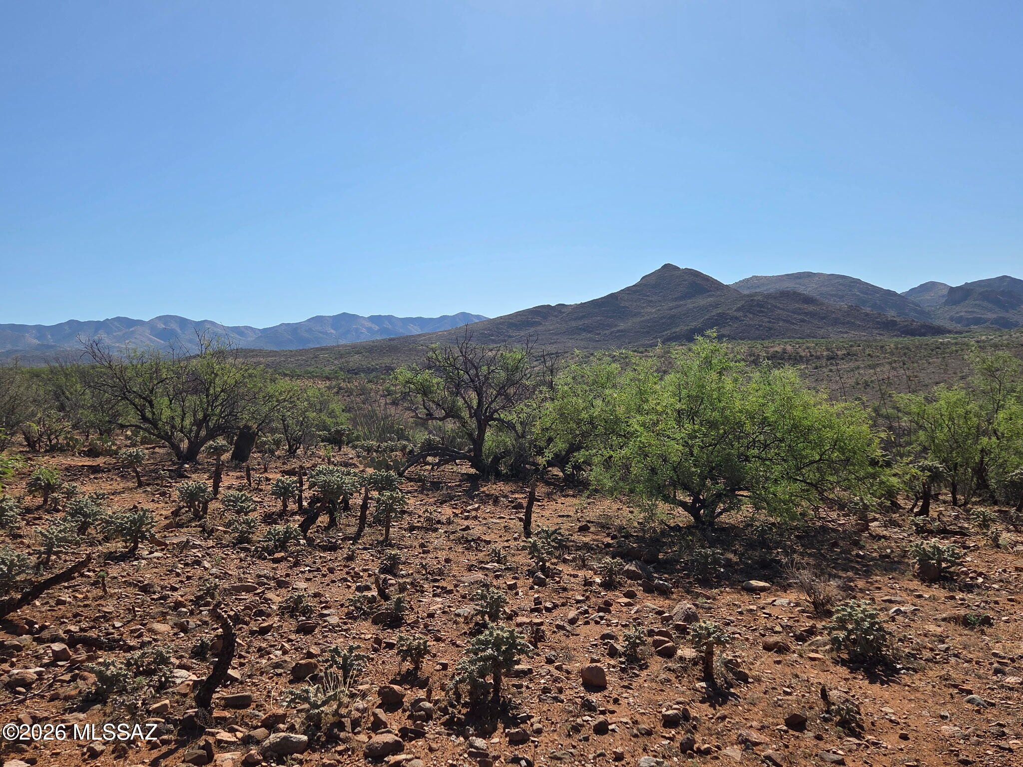 Tubac Foothills Ranch - Land