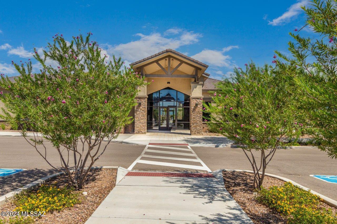 Saguaro Bloom SQ20180540069 - Residential