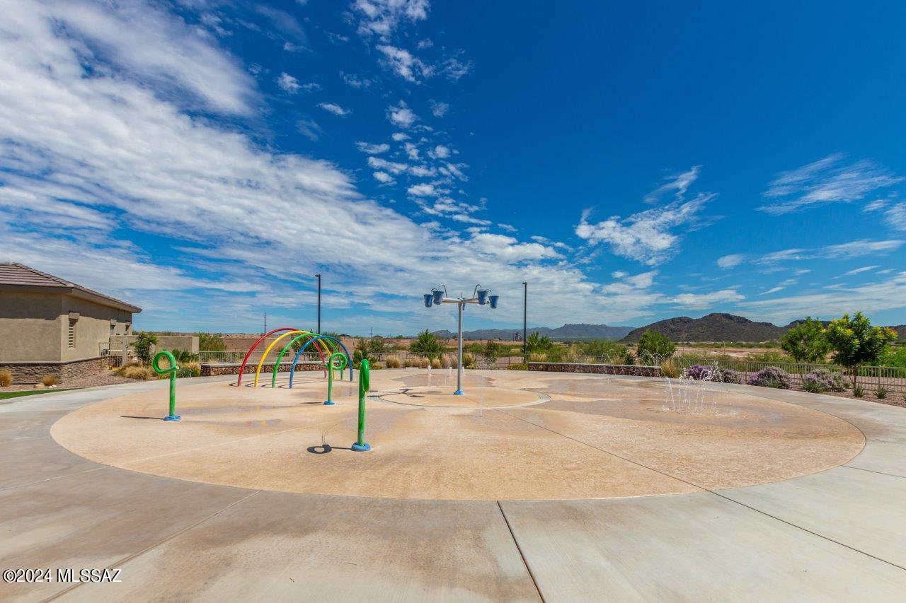 Saguaro Bloom SQ20180540069 - Residential