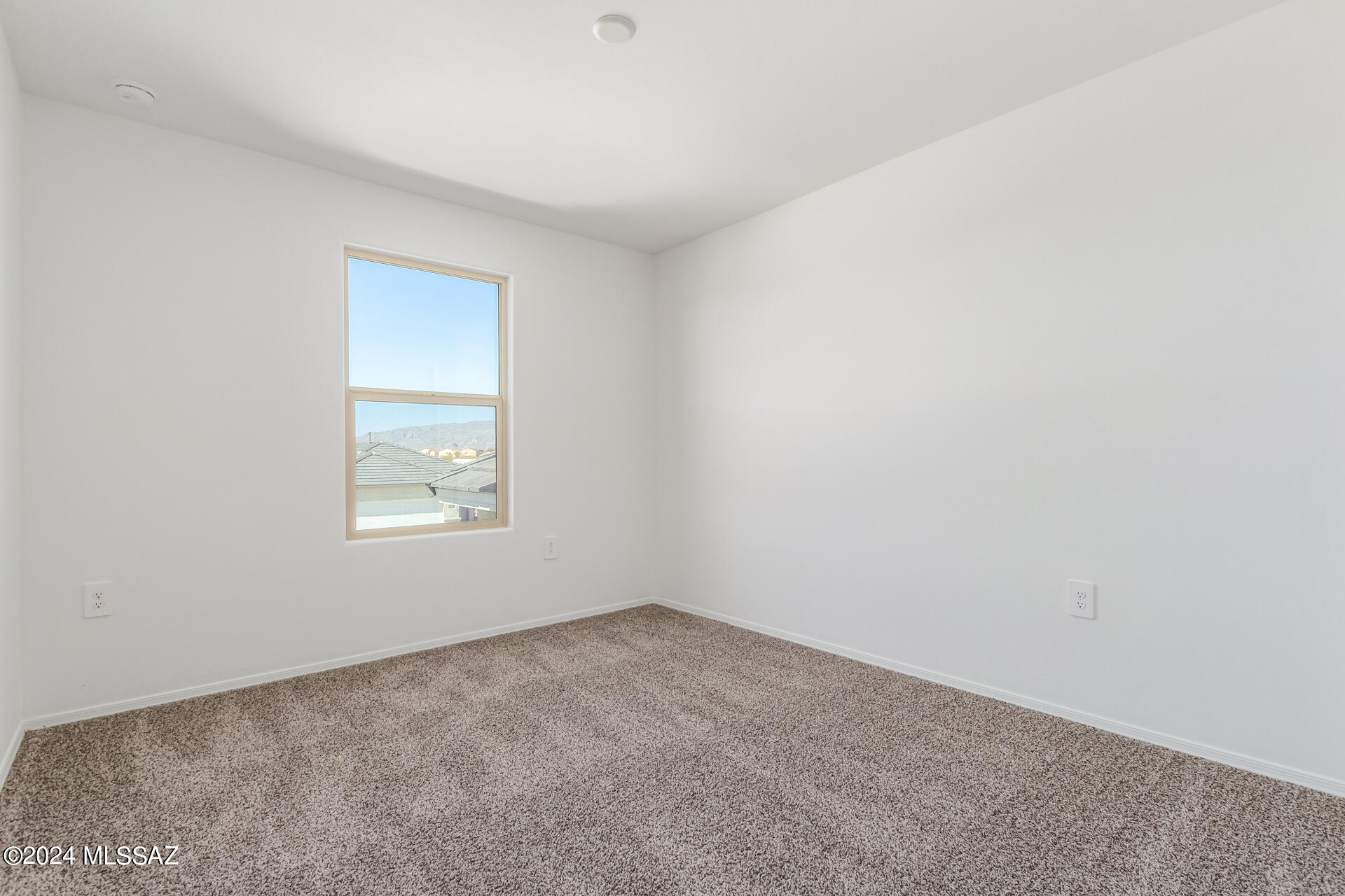 Saguaro Bloom SQ20180540069 - Residential