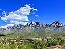 THE MOUNTAIN VIEWS ARE SPECTACULAR!!! High ridgeline view lot in a small, gated community in the heart of Oro Valley overlooking the Canada Del Oro wash from high above. Large building pad allows you to orientate your house in any direction. ALL PUBLIC UTILITIES ARE AVAILABLE: water, sewer, gas, electric & telephone.  Close to Oracle Rd. retail centers as well as several hospitals.