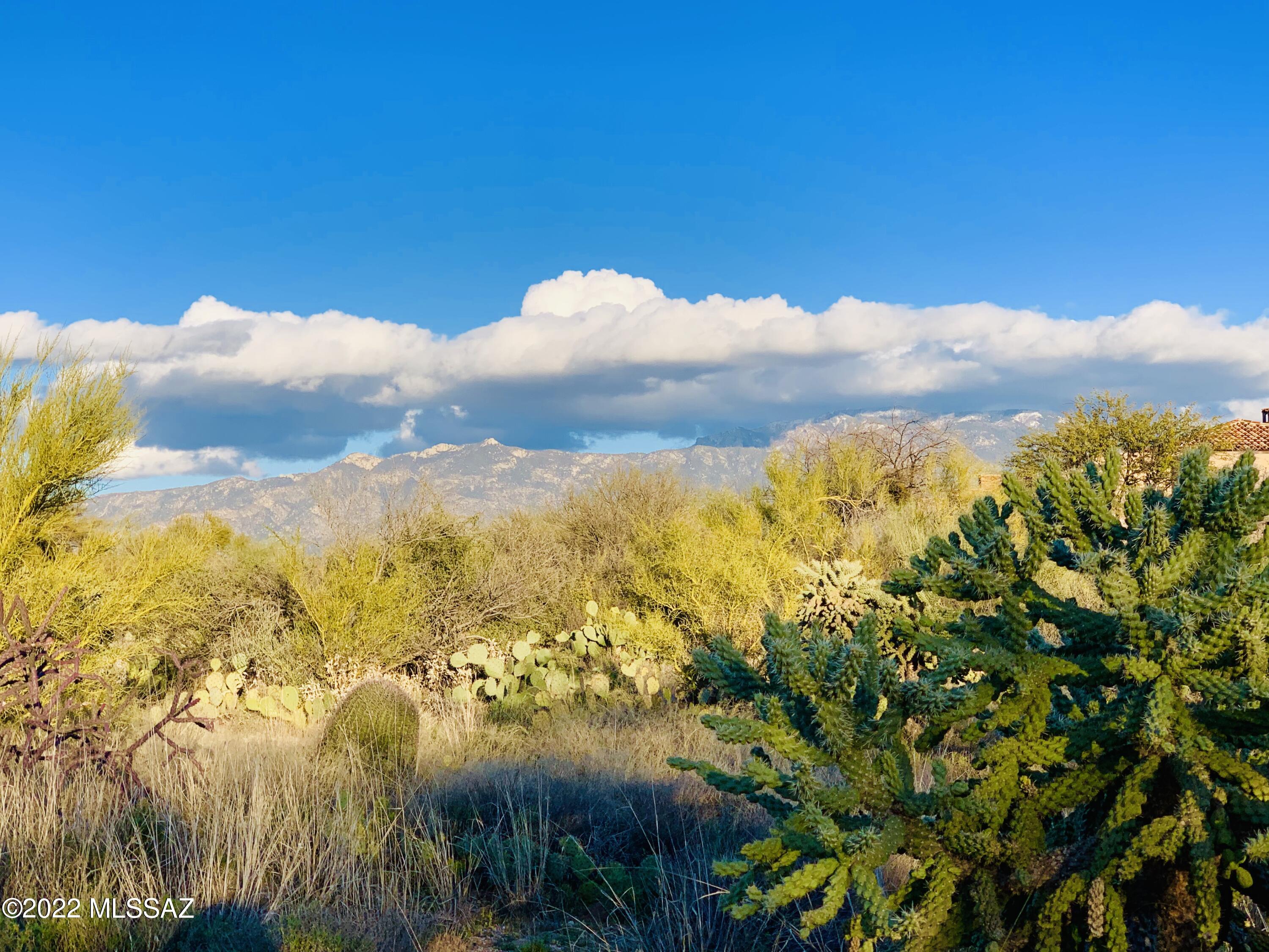 Stone Canyon I - Land