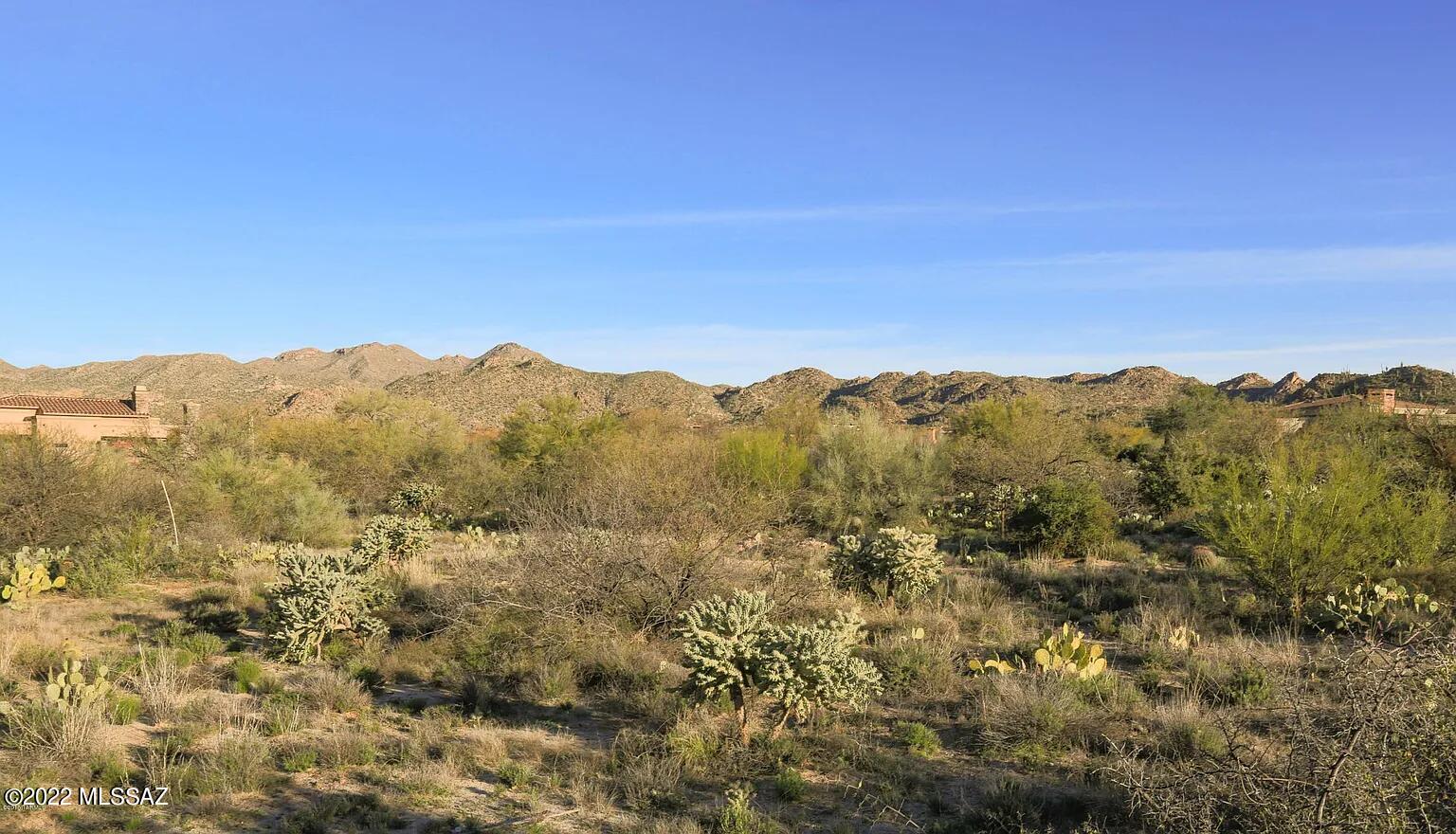 Save Thousands on Prep Work with this flat lush parcel in Stone Canyon. 
Experience the best of Stone Canyon living with this exceptional 1.5-acre homesite—one of the rare parcels offering flat, easy-to-build land in a community where extensive site preparation is often required. This unique advantage can save you thousands of dollars while giving you the freedom to design the home of your dreams without compromise.
Framed by dramatic mountain vistas and enhanced by mature desert vegetation, the setting offers both natural beauty and a sense of seclusion. This rare level homesite invites endless possibilities—whether your vision includes expansive indoor-outdoor living, a resort-style pool, or a showcase garage for your car collection, the canvas is yours to create. The Stone Canyon Golf Club is consistently ranked among the best in the country, with a championship golf course and a state-of-the-art Swim, Tennis, and Health Club just minutes away.

Come see why Stone Canyon is Southern Arizona's premier private community. Private tours of this parcel and the world-class amenities are available seven days a week.