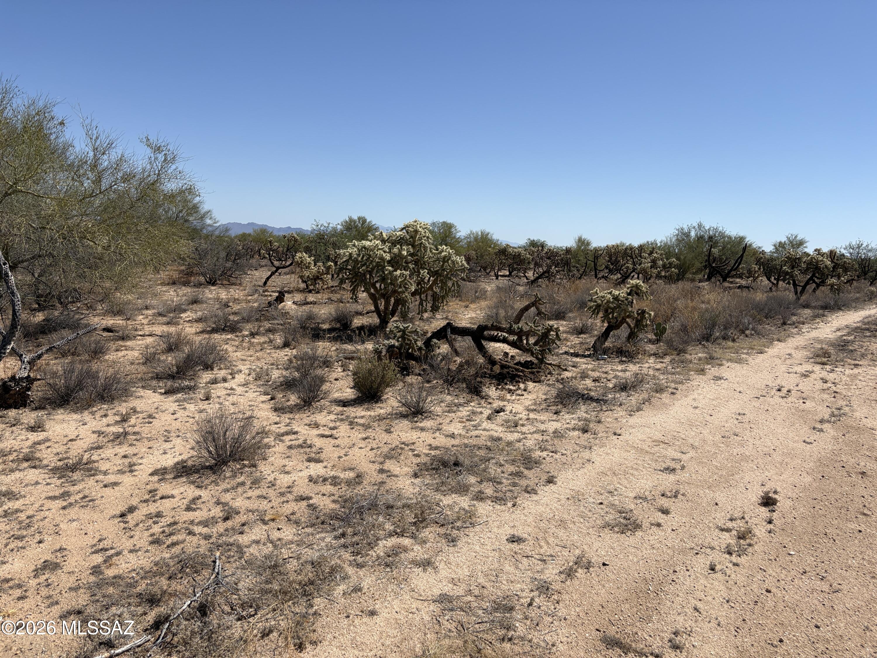 Diamond Bell Ranch - Tucson (1-229) - Land