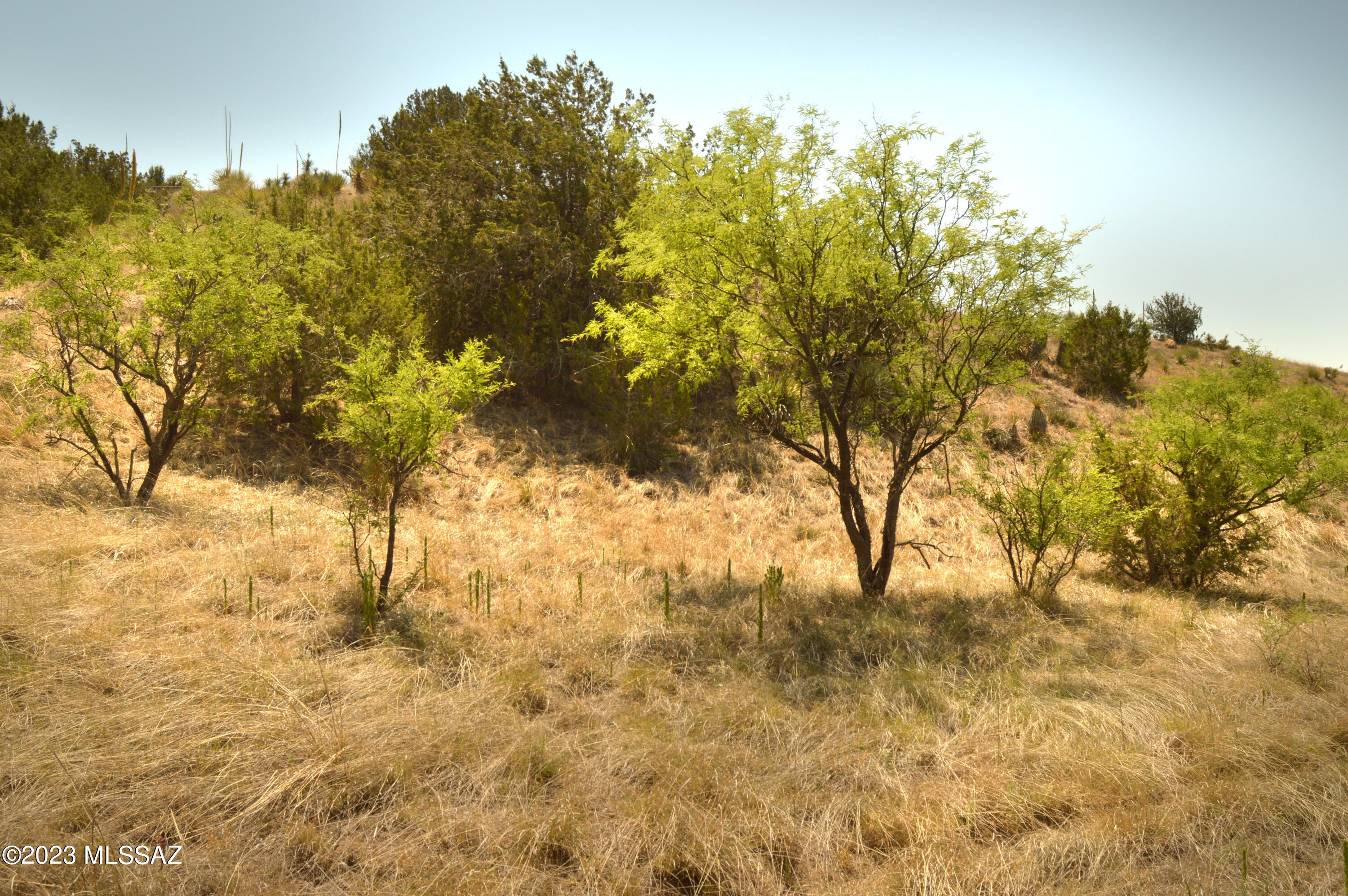Three Canyons - Land